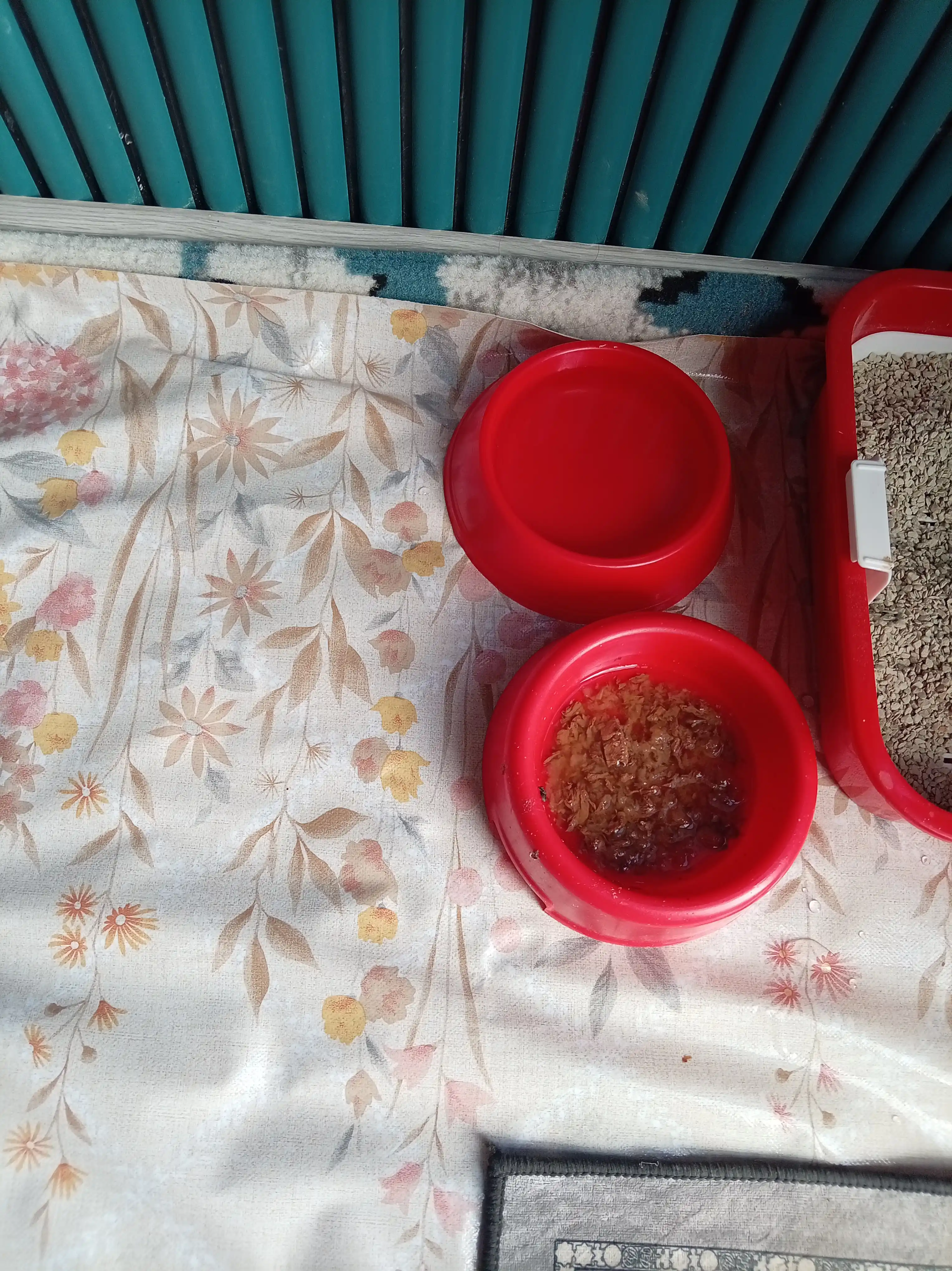 Миска круглая для кошек котят и маленьких собак