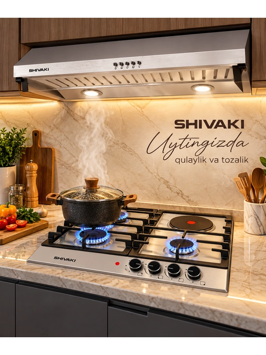 SHIVAKI S63-0030