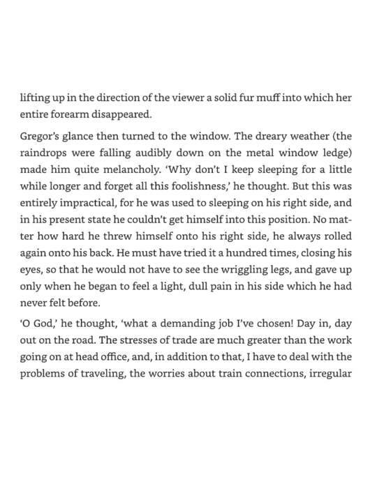 Metamorphosis. Franz Kafka (книга на английском языке)