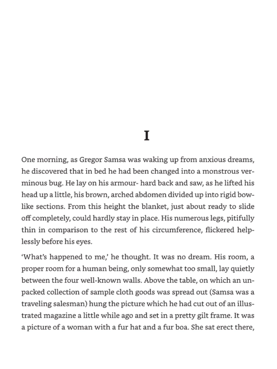 Metamorphosis. Franz Kafka (книга на английском языке)