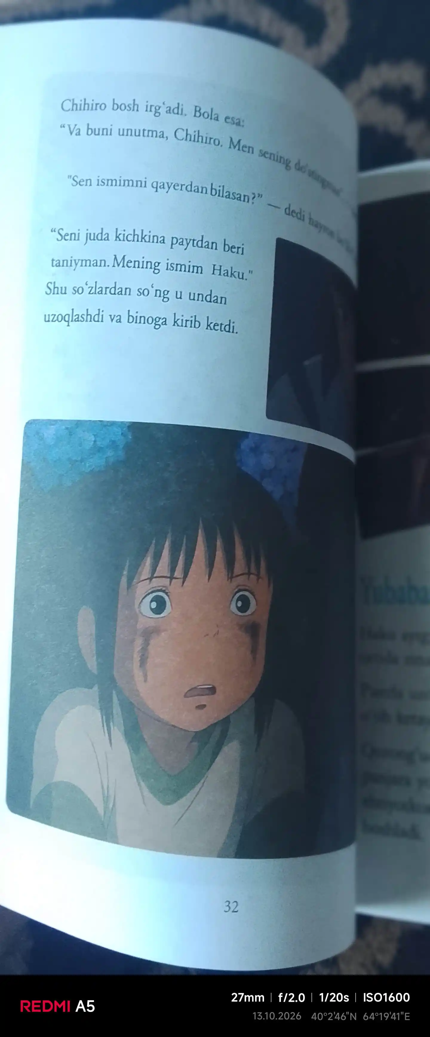 Ruhlar olami, Rasmli Kitob