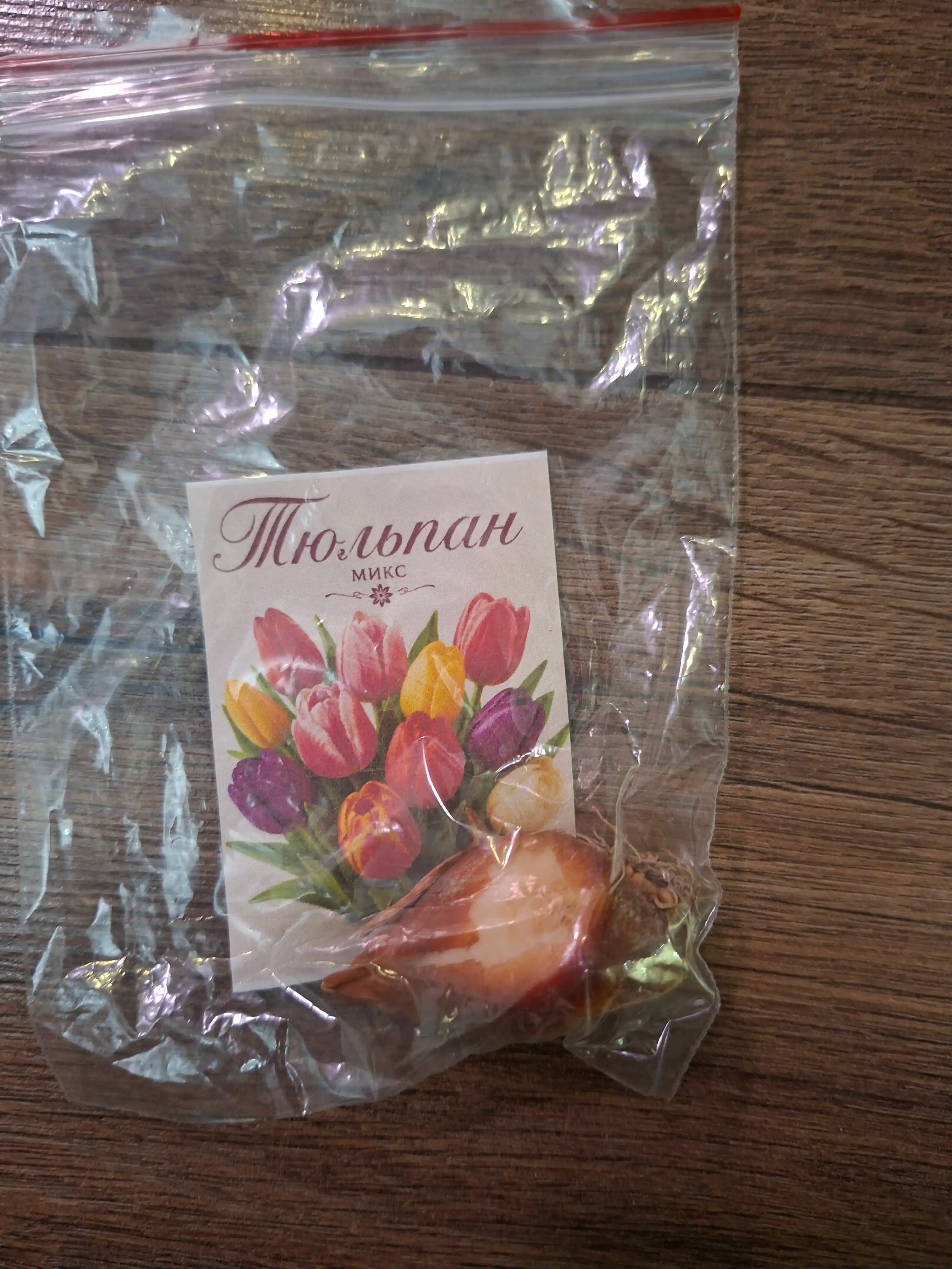Семена и луковицы цветов и растений для дома и сада