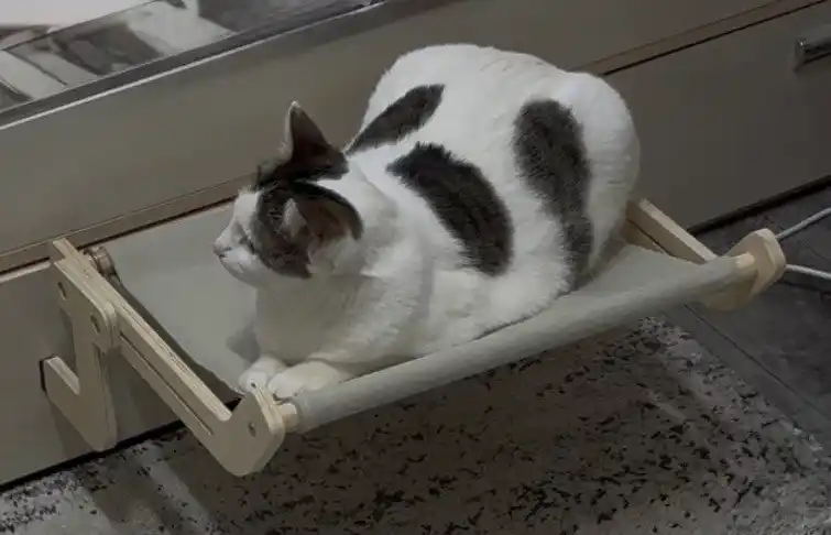 Лежанка гамак для кошек и собак