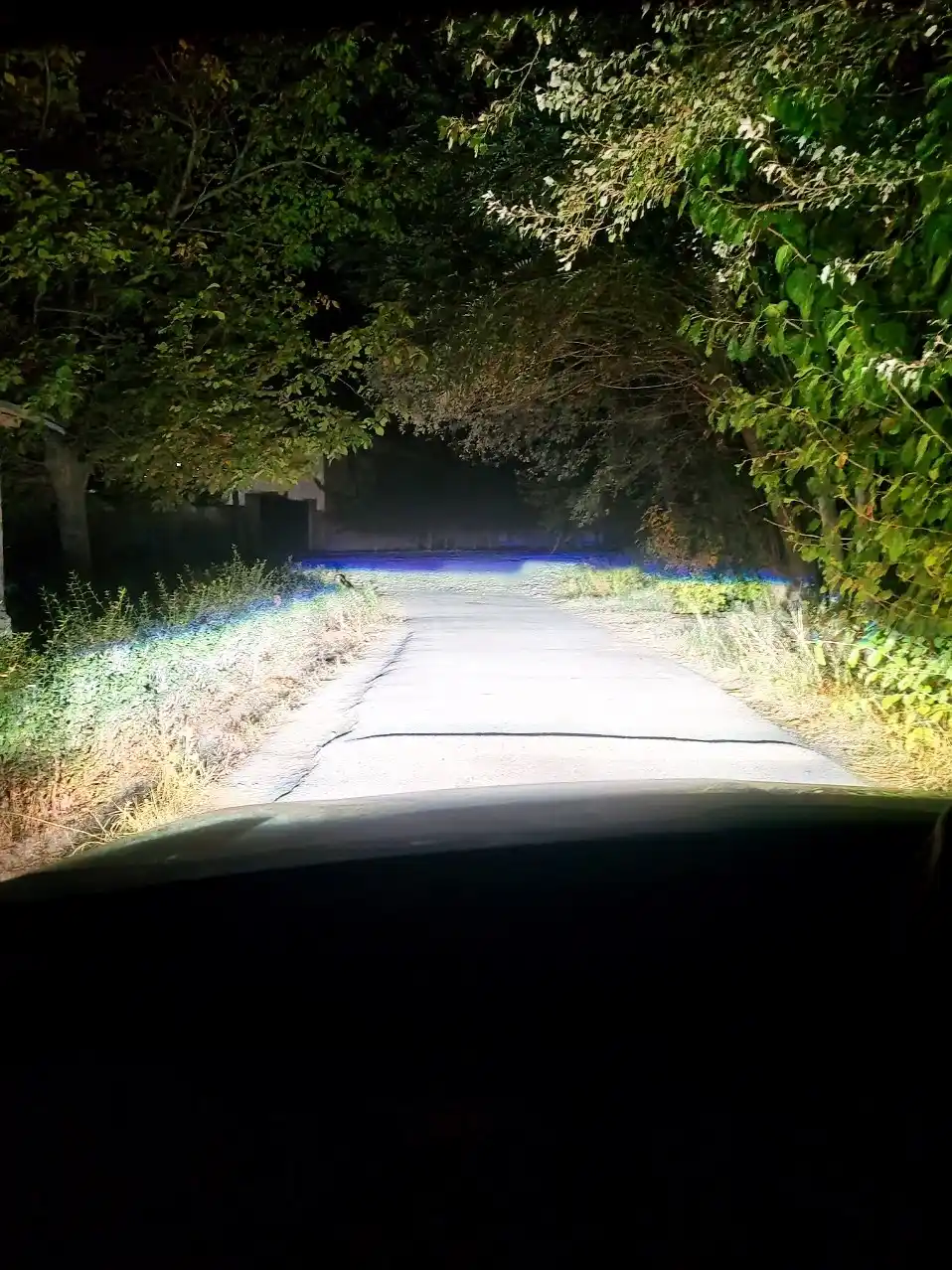 Zimmer Y7D, Y7 LED H4 120W: avtomobil faralari uchun chiziqli svetodiod