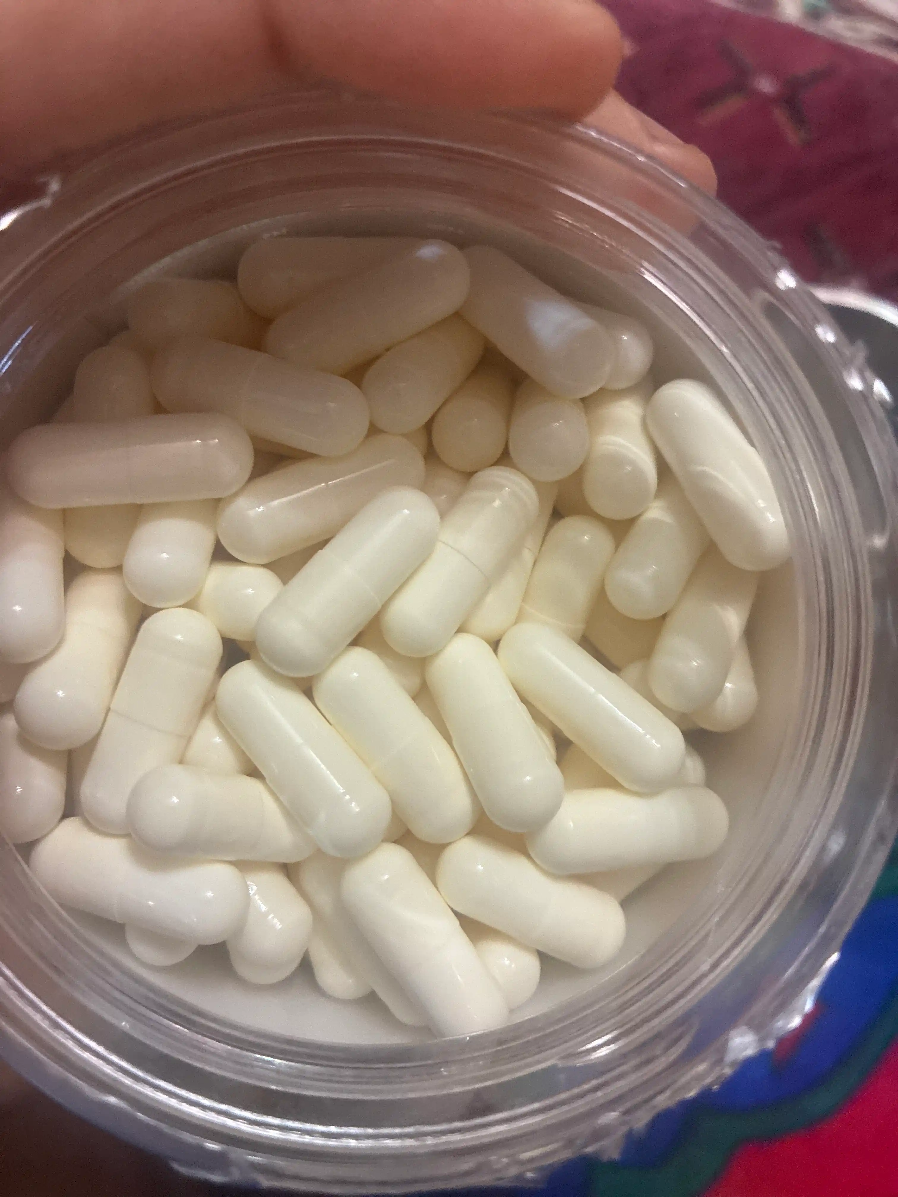 Kreatin monogidrat Creatin Primekraft, 240 kapsula