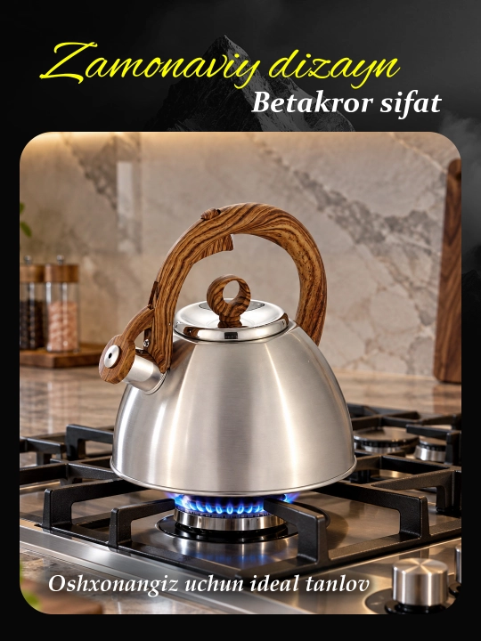 Haus Roland чайник 3L из нержавеющей стали с древесной ручкой и свистком