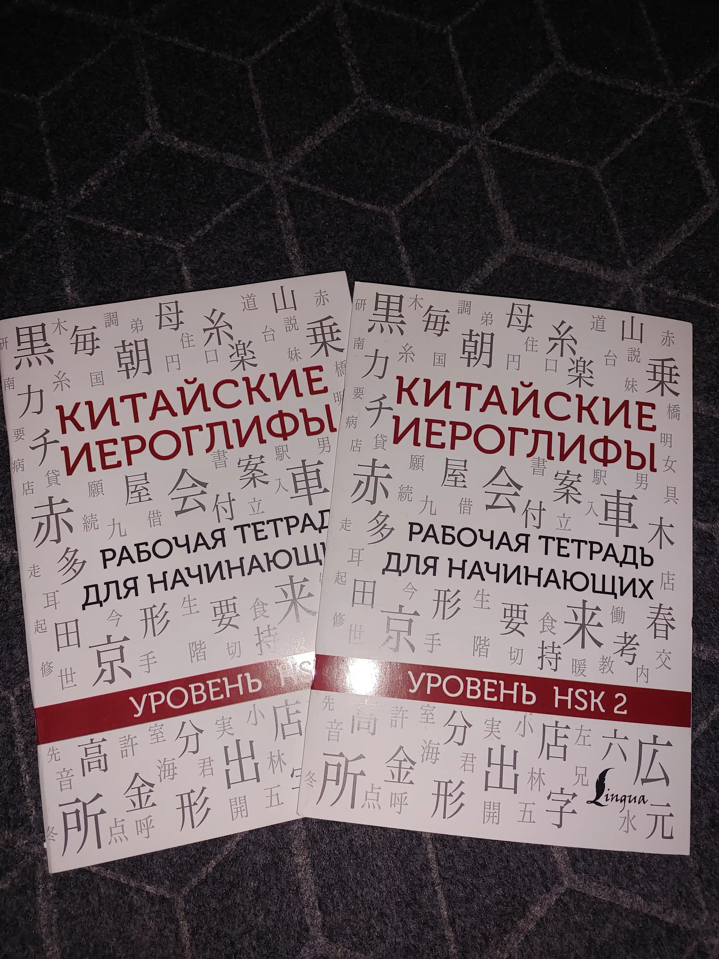 Китайские иероглифы, рабочая тетрадь для начинающих, уровни HSK 1-2, 3-4