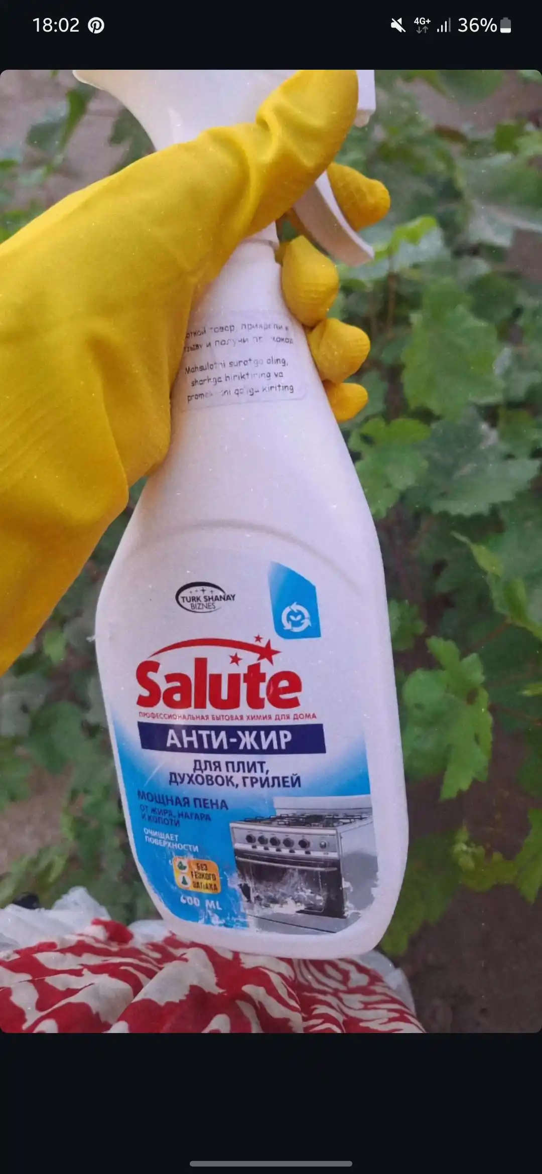 Чистящее средство антижир Salute, 600 мл, против жира