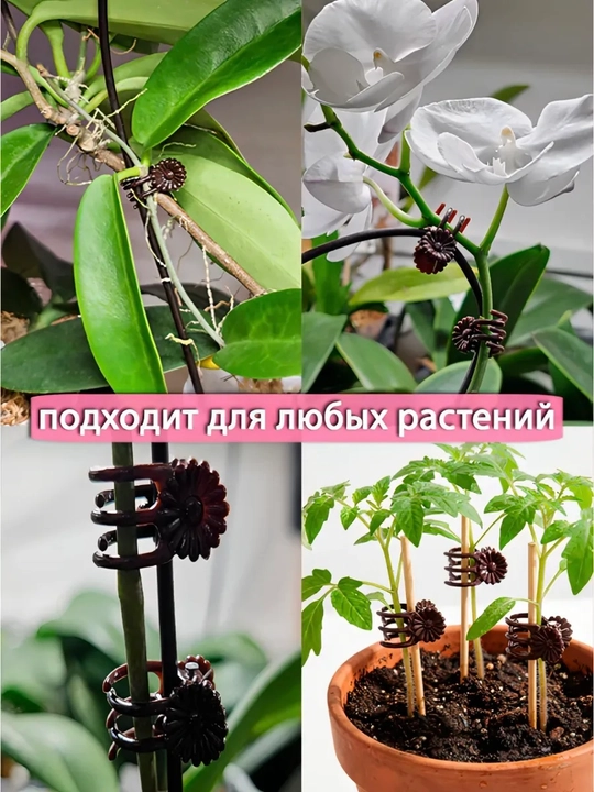 Клипсы для растений, держатели и фиксаторы стеблей цветов, 10, 20 шт