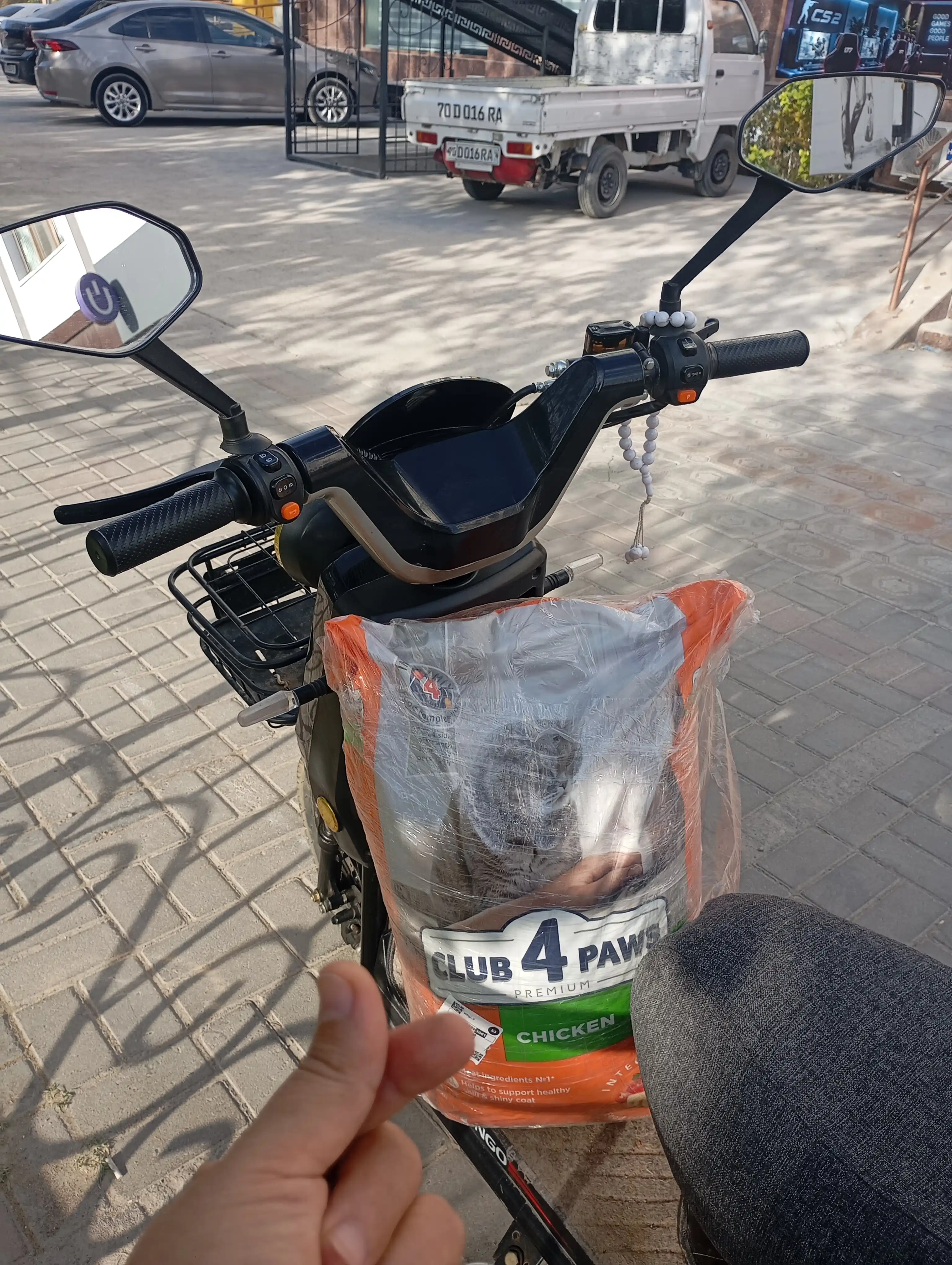 Club 4 Paws mushuklar uchun quruq yem, tovuq go‘shti bilan, 14 kg