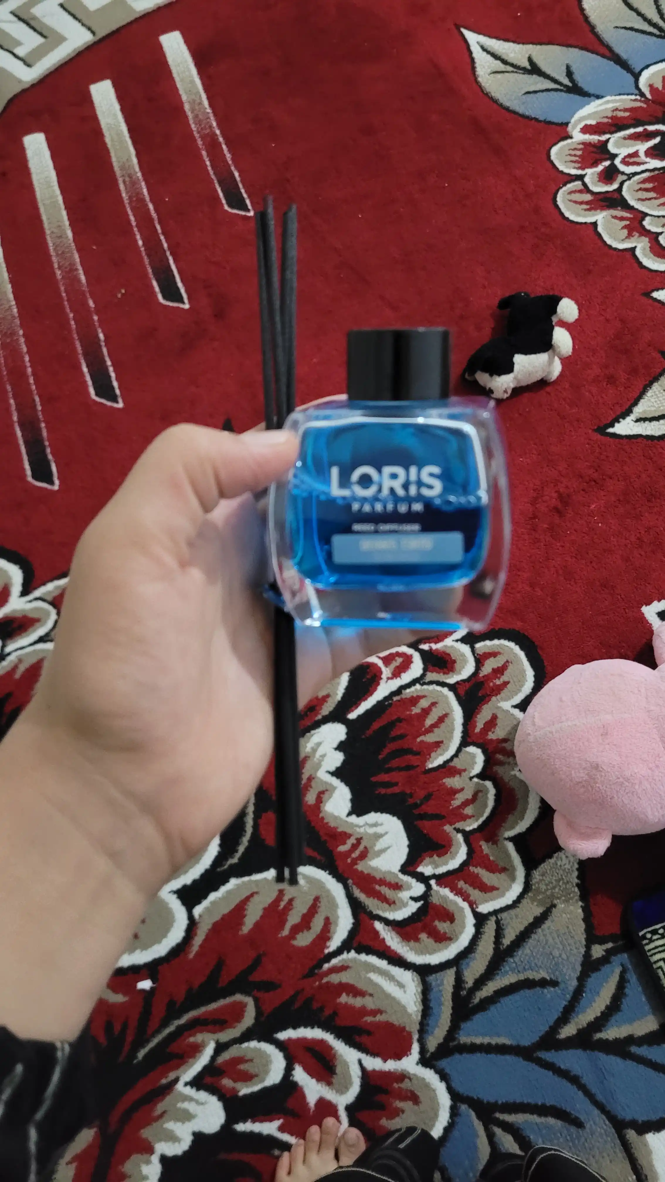 Aromadiffuzor LORIS, uy va ofis uchun xushbo‘ylantirgich, 120 ml