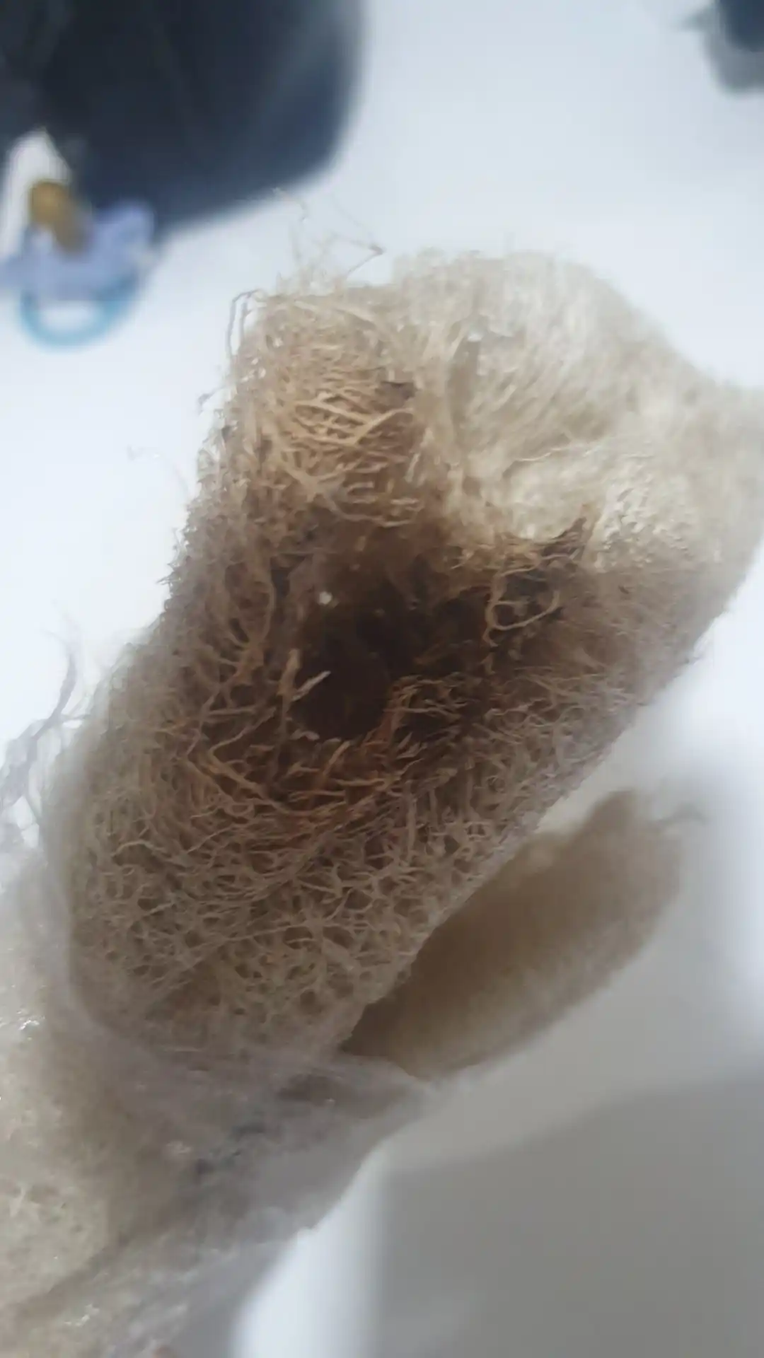 Lyufli mochalka yuz va tana uchun