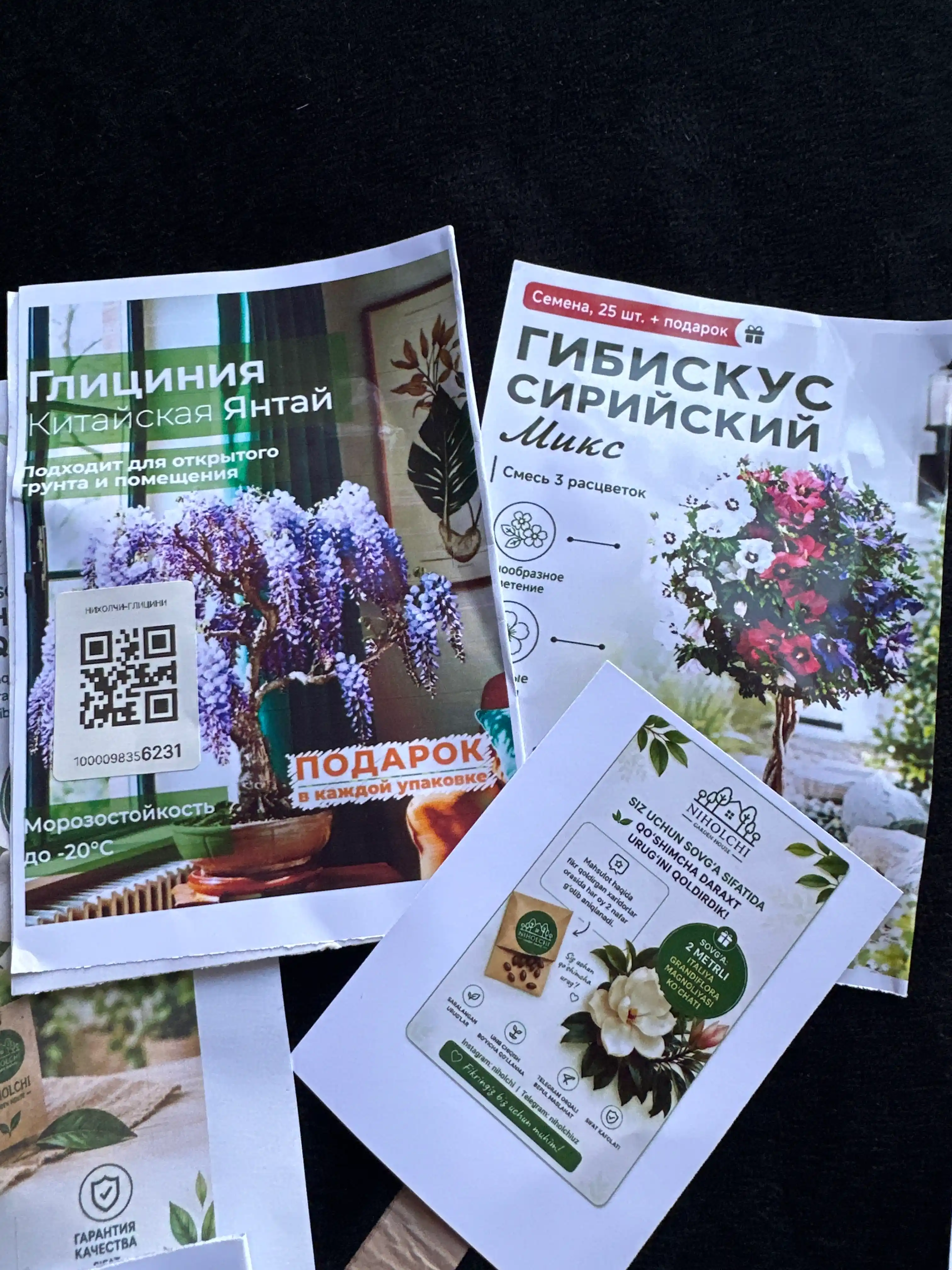 Глициния Китайская Янтай, семена, 5 шт, семена садовых цветов, декоративная лиана