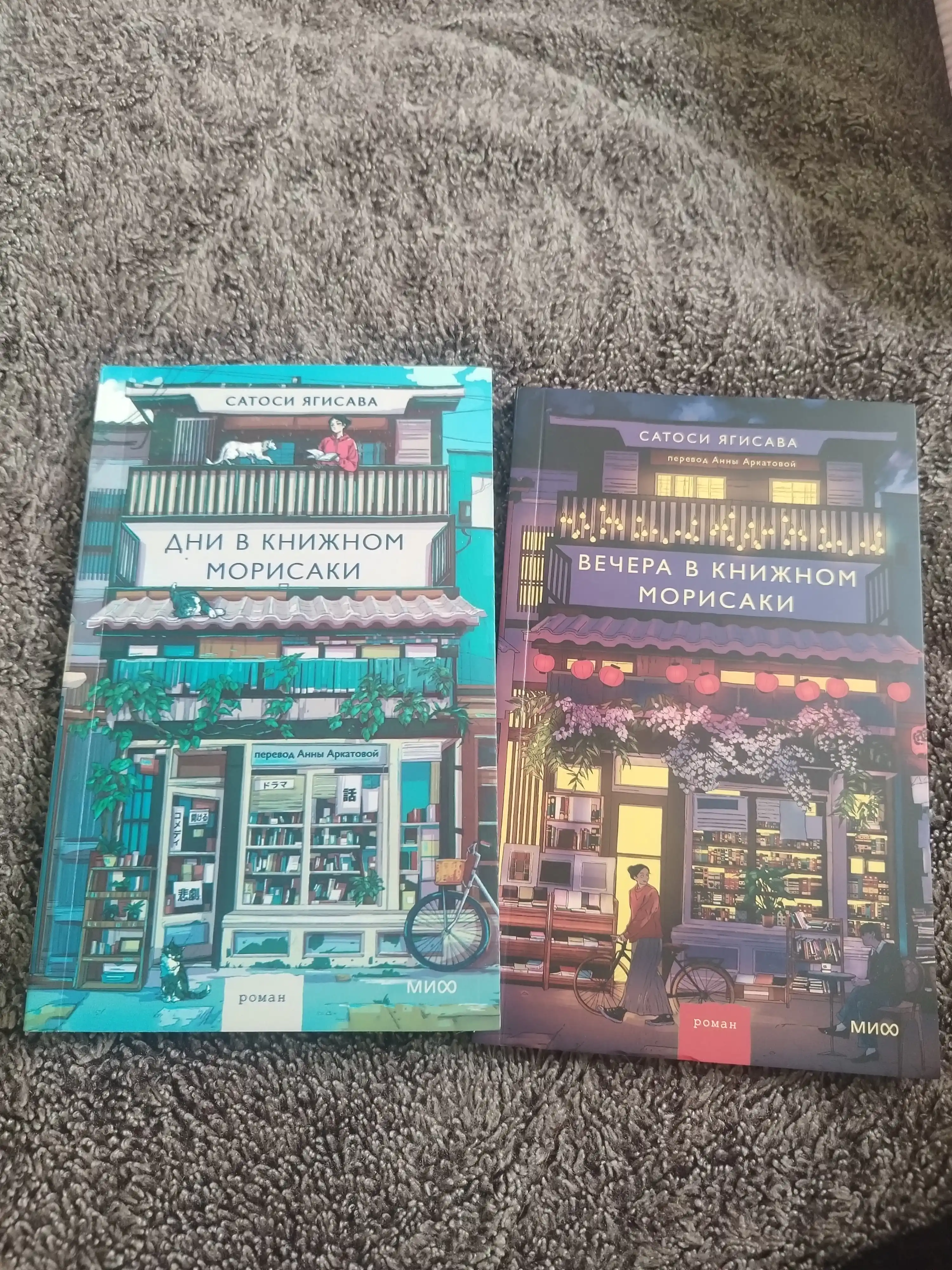 Дни в книжном магазине Морисаки, Вечера в книжном магазине Морисаки Сатоси Ягисава