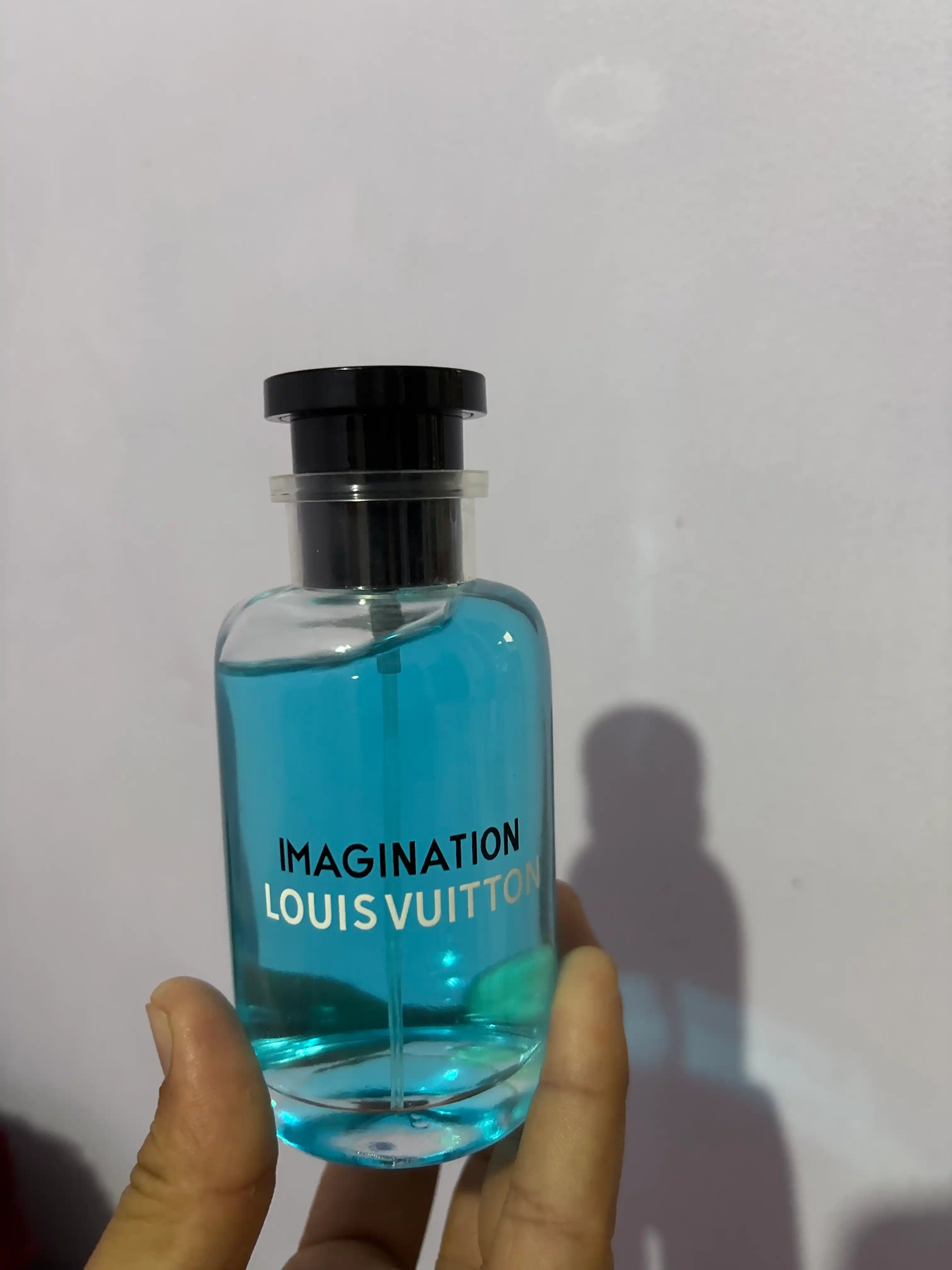 Парфюмерная вода для мужчин Louis Vuitton Imagination, 100 мл