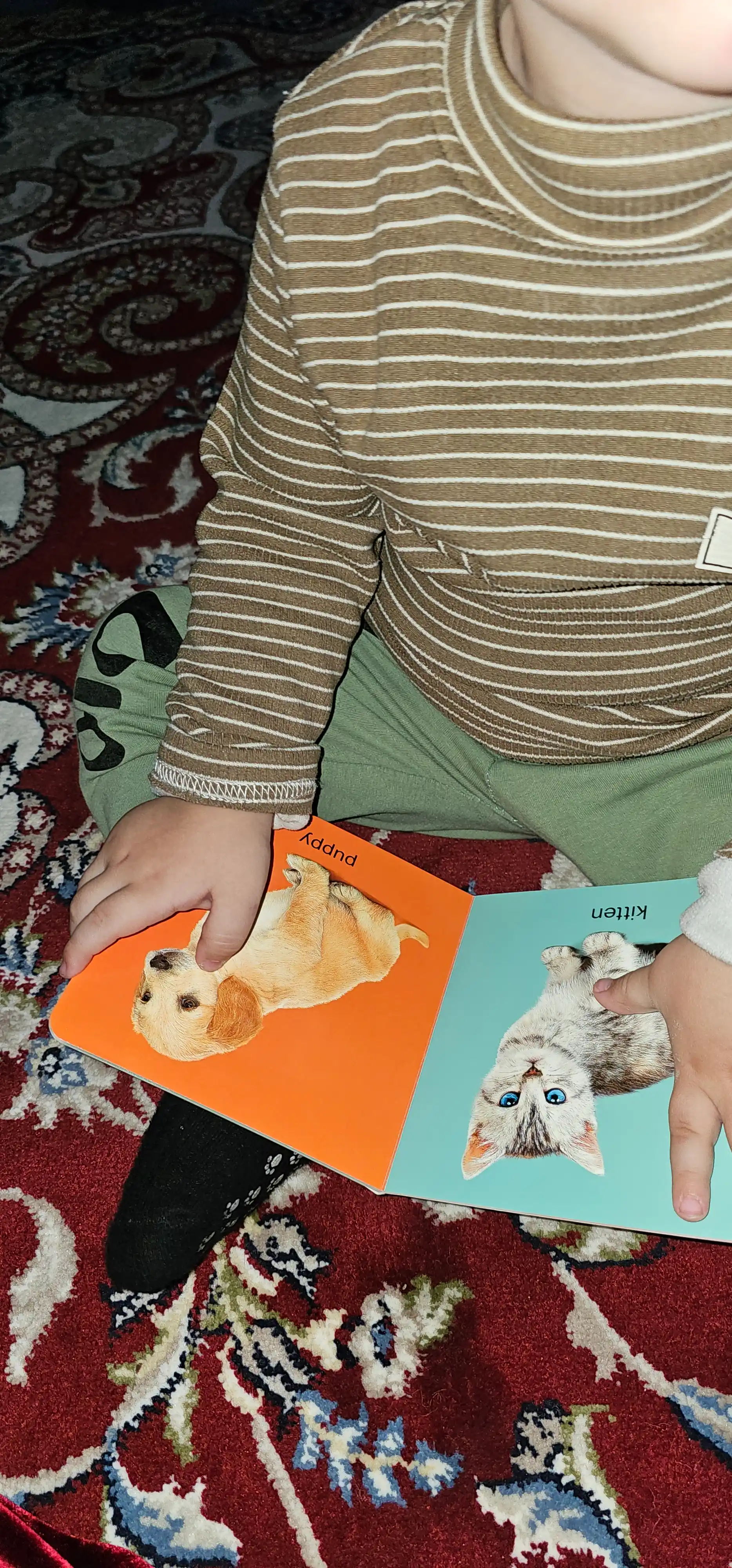Baby Look and Learn 10 развивающих толстых книг для малышей