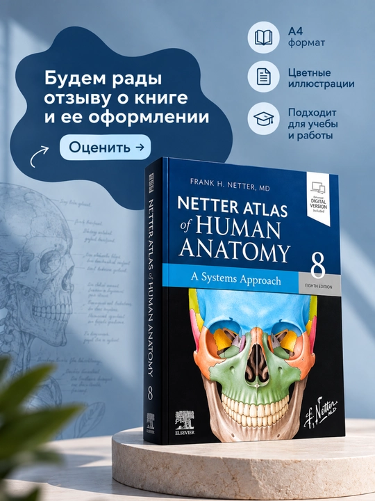 Netter Inson anatomiyasi atlasi Tizimli yondashuv 8-nashri Tibbiyot
