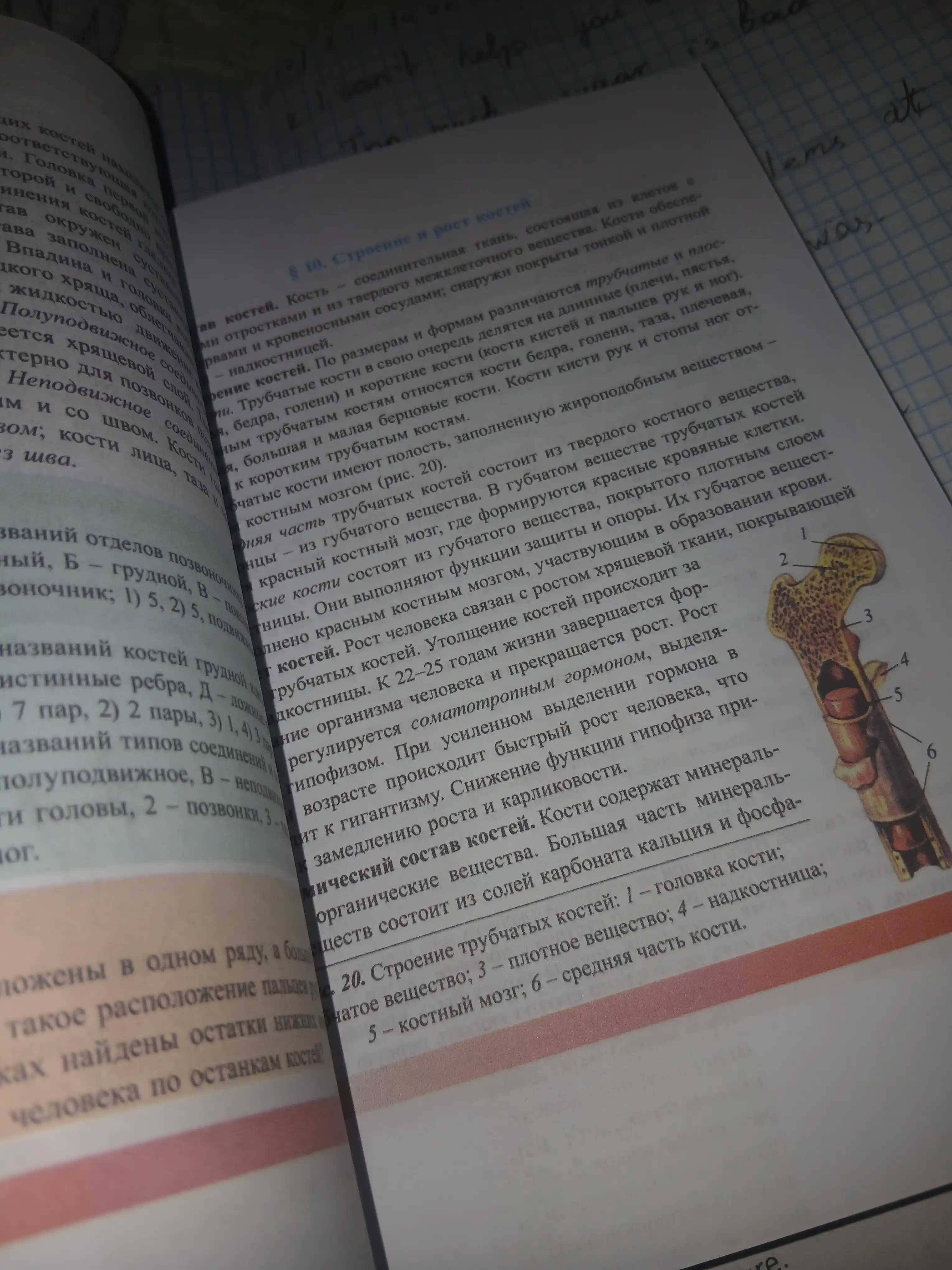Биология. 8 класс, человек и его здоровье, 2019 ( цветная формат А5 на русском)