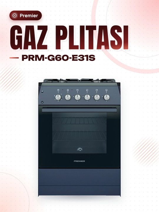Gaz plitasi PRM-G60-E31S