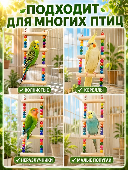 To'tiqush va qushlar uchun belanchak, rangli munchoqli yog'och halqa perch