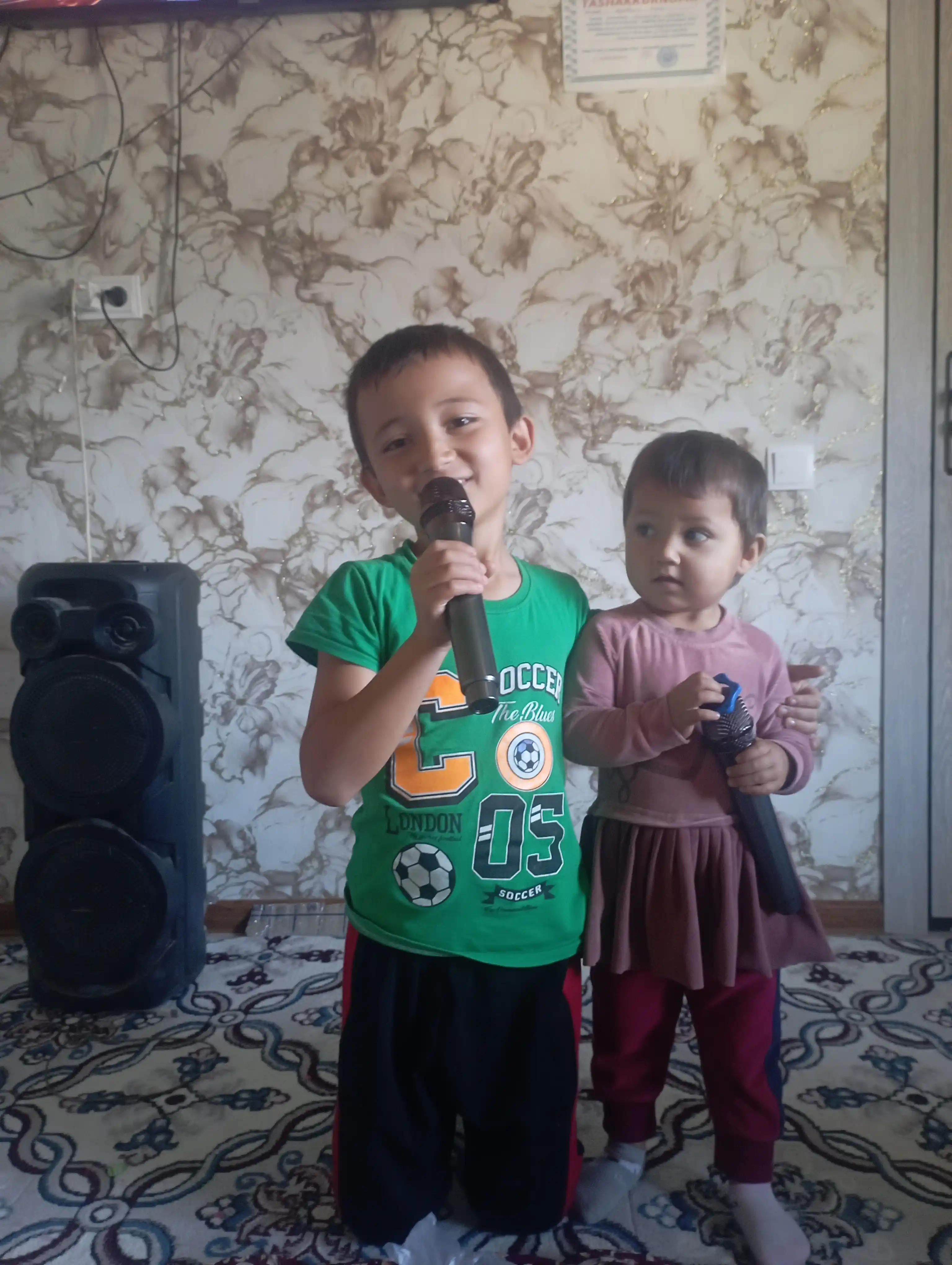 Simsiz karaoke mikrofonlari, professional, 2 dona