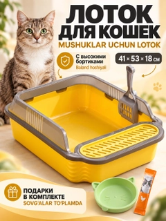 Светло-оранжевый