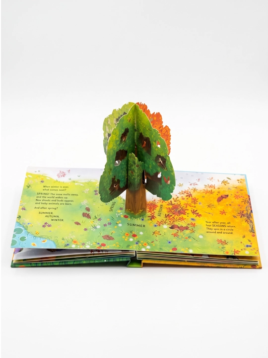 Книга детская Usborne Pop-Up 3D объёмная на английском языке развивающая для детей