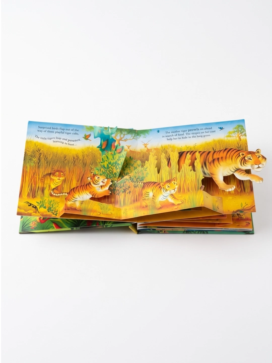Книга детская Usborne Pop-Up 3D объёмная на английском языке развивающая для детей