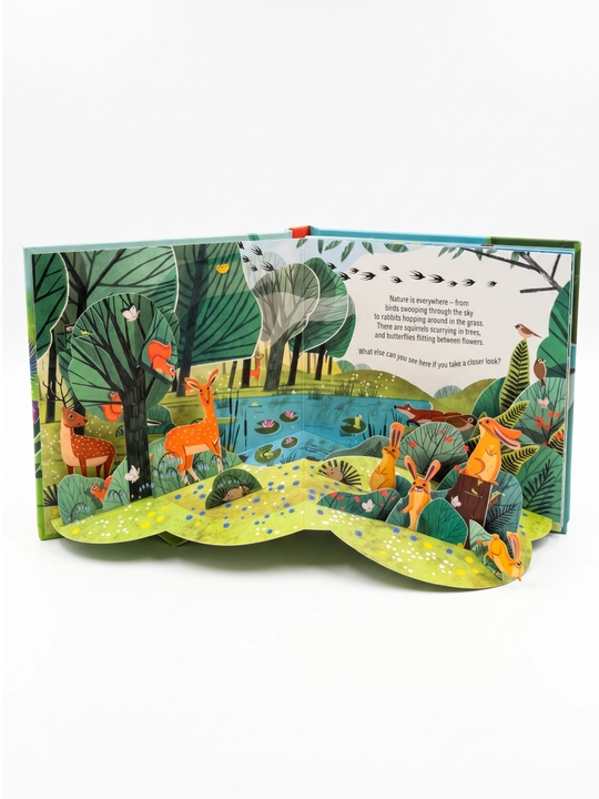 Книга детская Usborne Pop-Up 3D объёмная на английском языке развивающая для детей