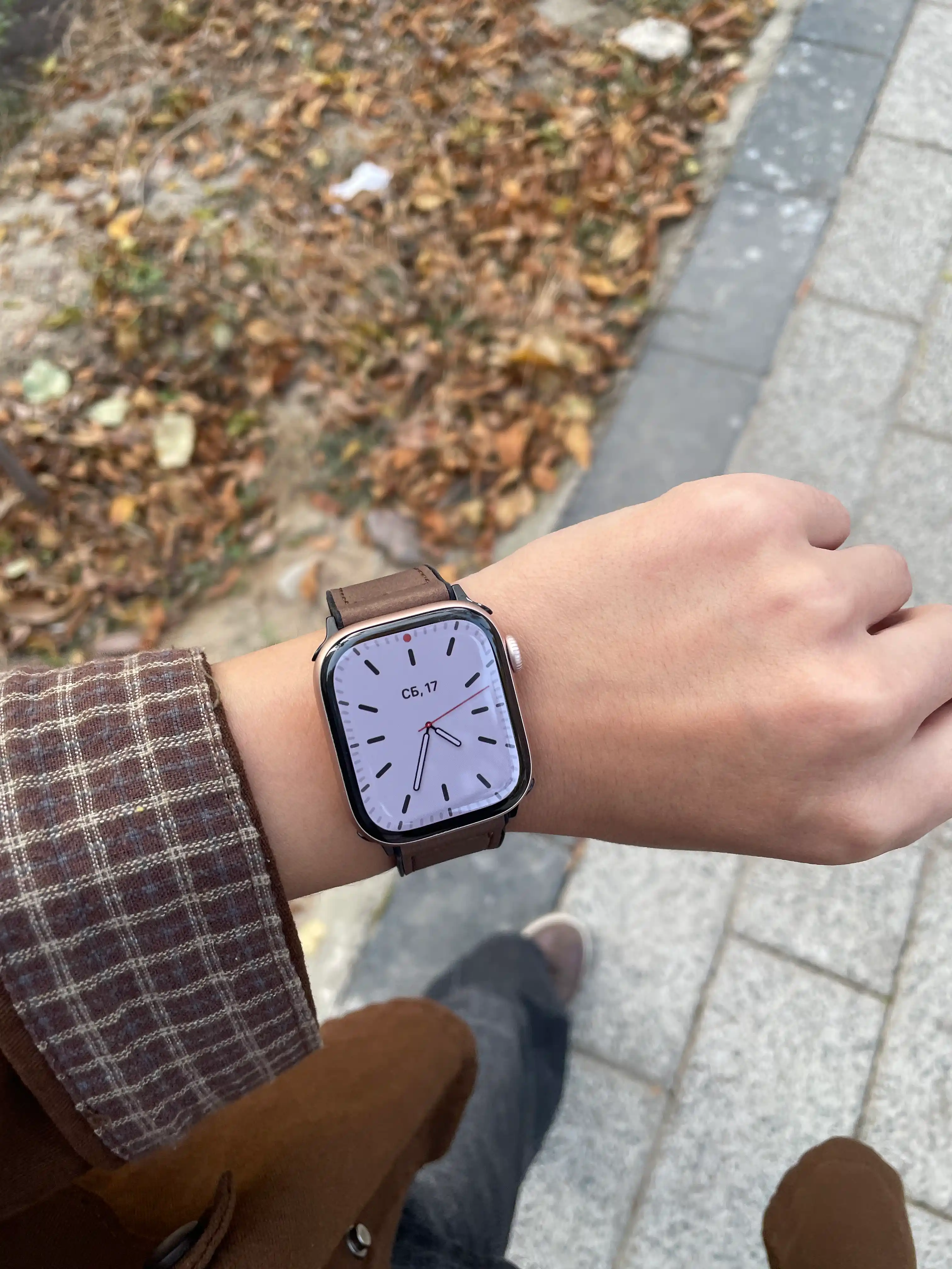 Apple Watch 38–49 mm uchun magnitli charm tasma, biznes uslubi（Faqat tasma）
