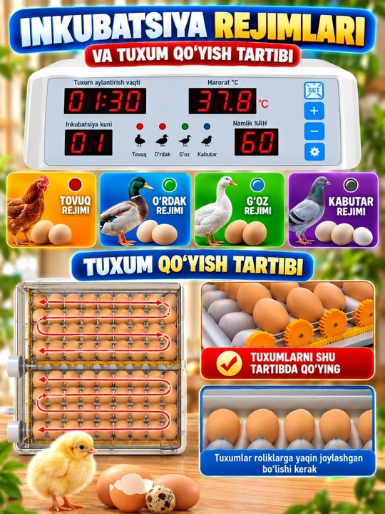 Инкубатор Full HD для яиц, вместимостью 16, 36, 64, 120 яиц, работает от сети 12В и 220 В
