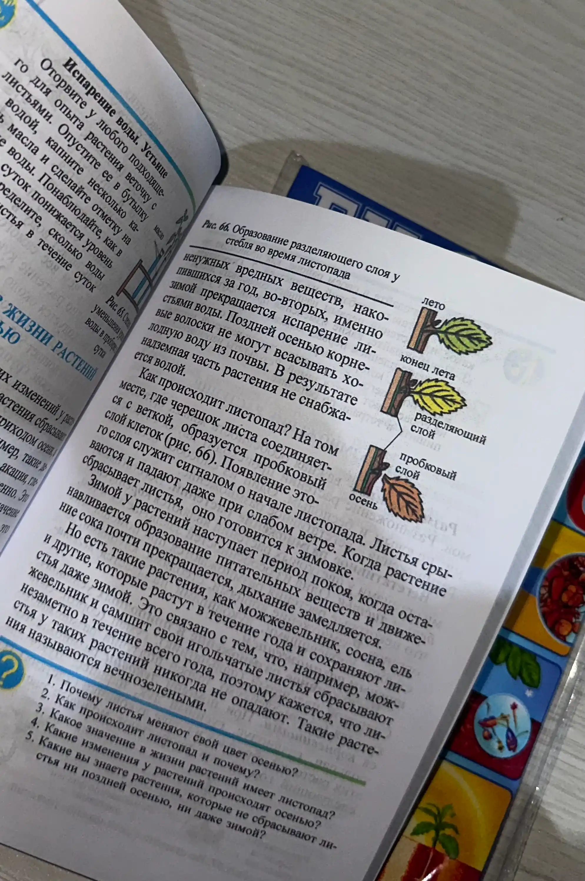 Biologiya 6-sinf, maktab o‘quvchilari uchun darslik