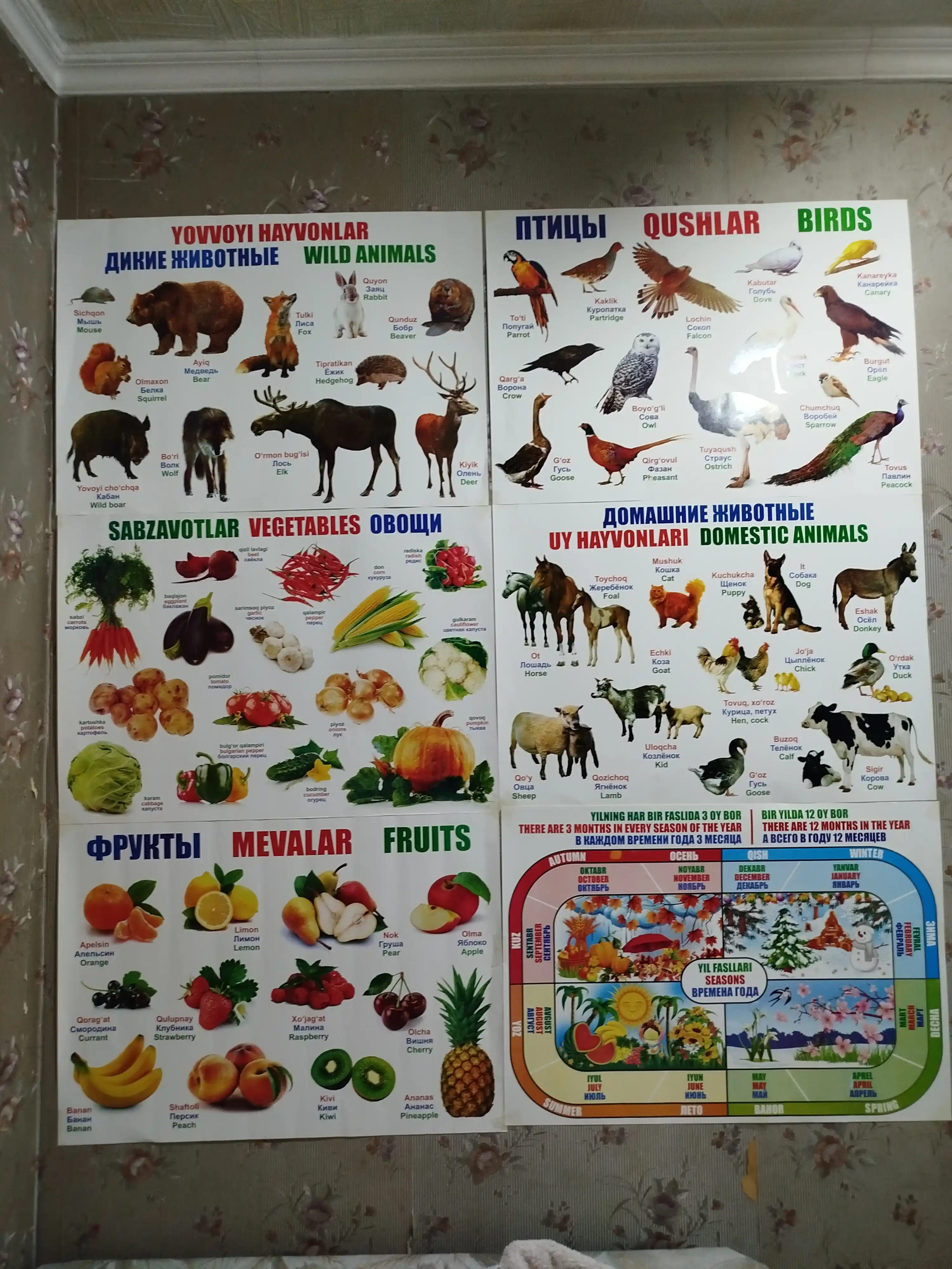 Bolalar uchun alifbo, hayvonlar, mevalar, sabzavotlar bilan plakat