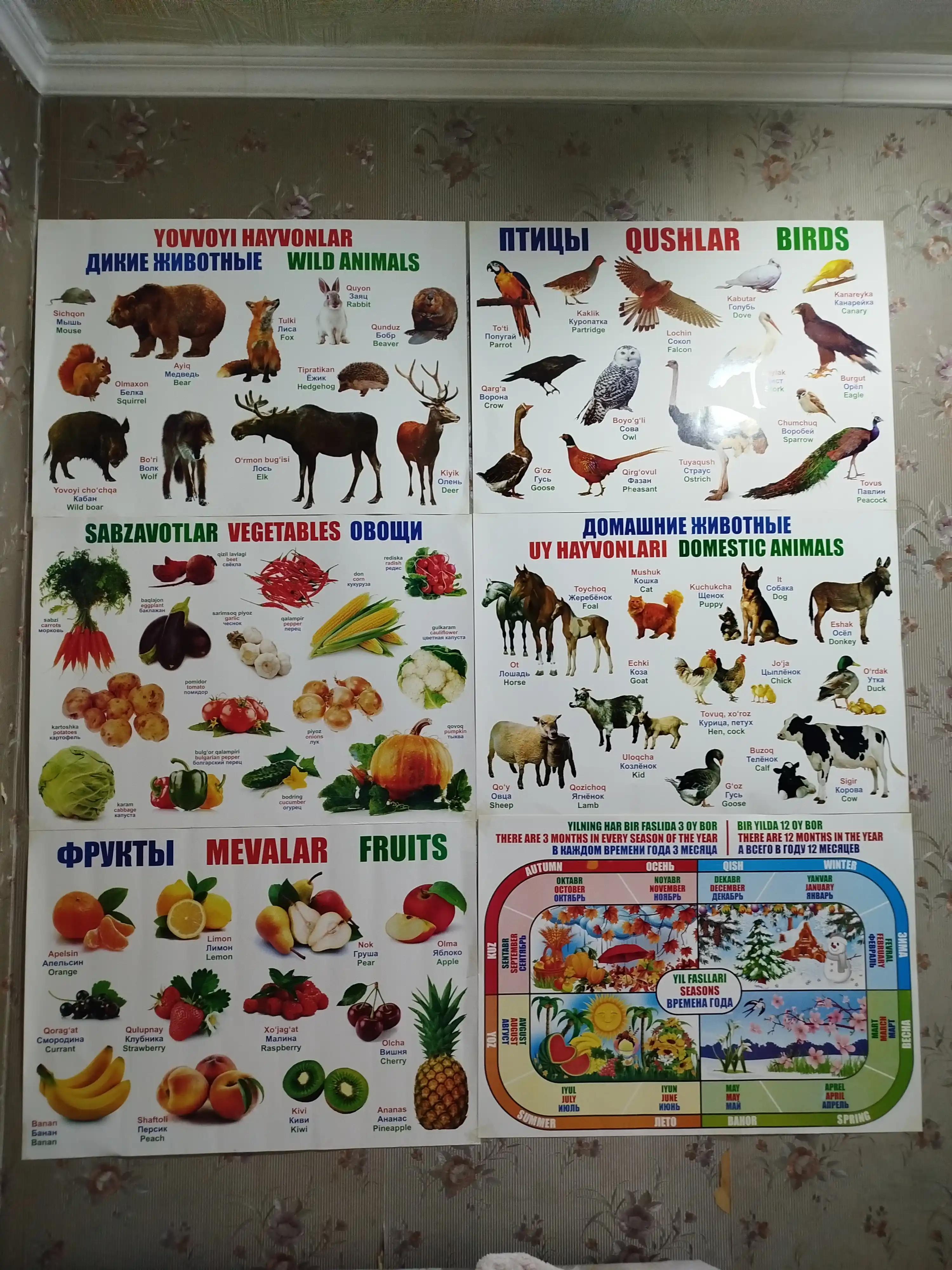Bolalar uchun alifbo, hayvonlar, mevalar, sabzavotlar bilan plakat
