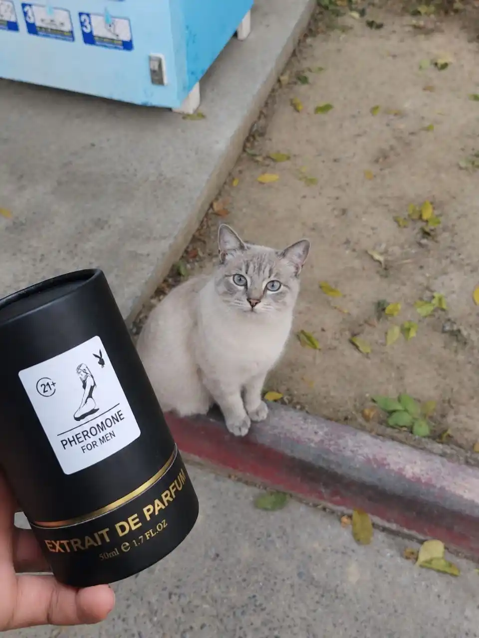 Мужские духи  «Parfume for Man»