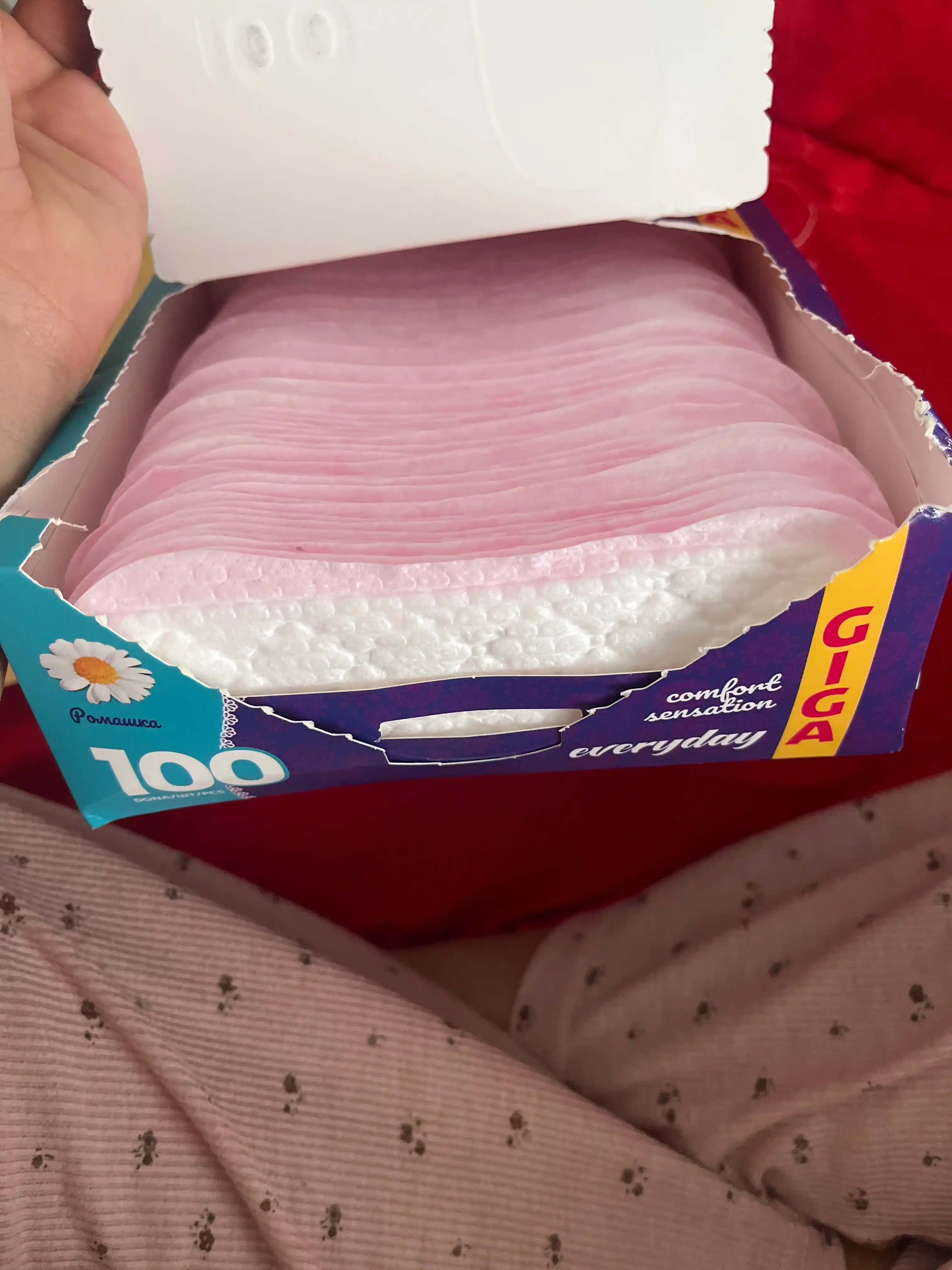 Kundalik prodladkalar Peri Moychechak, 100 dona