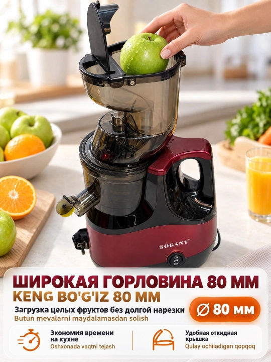 SK-01005 shnek sharbat chiqargich 800W sovuq press katta yuk