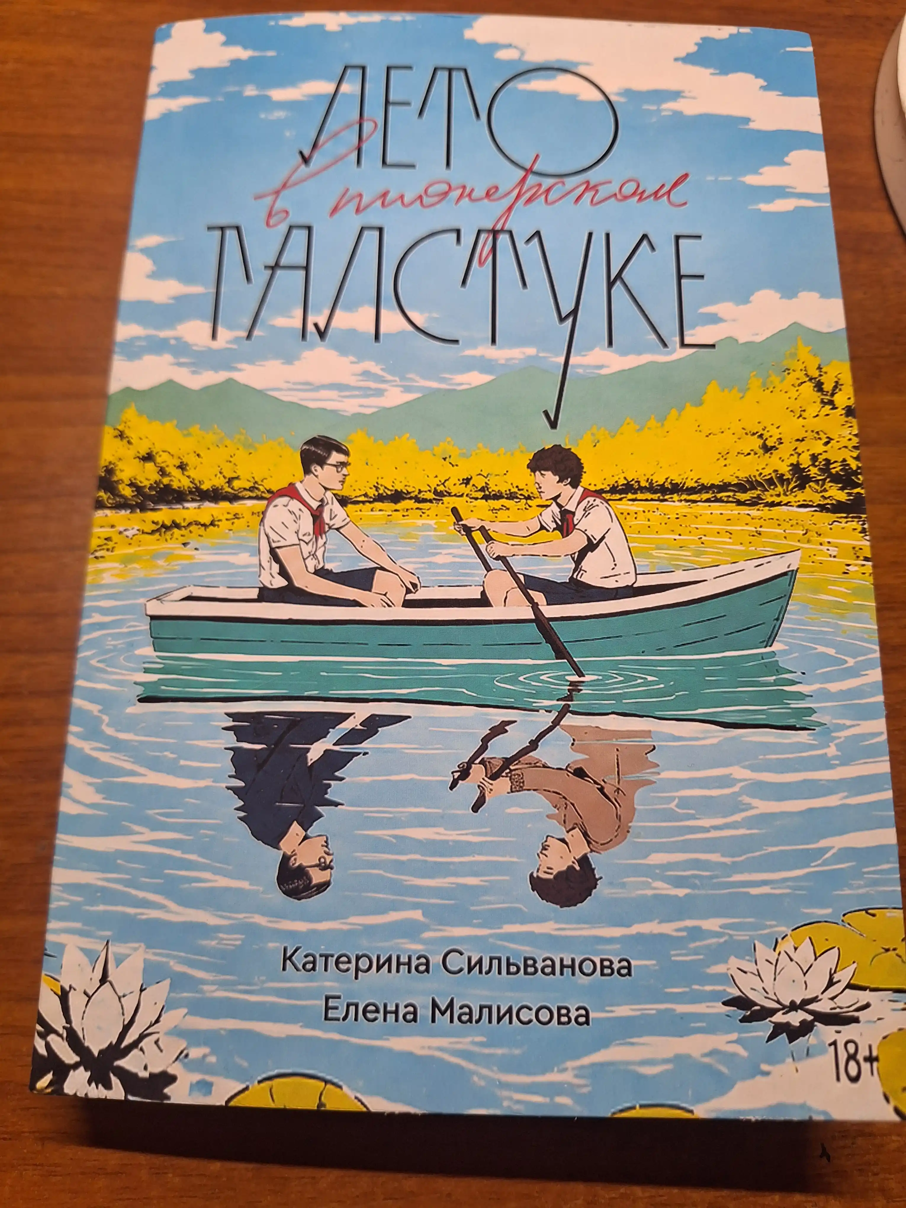 Лето в пионерском галстуке, О чем молчит ласточка