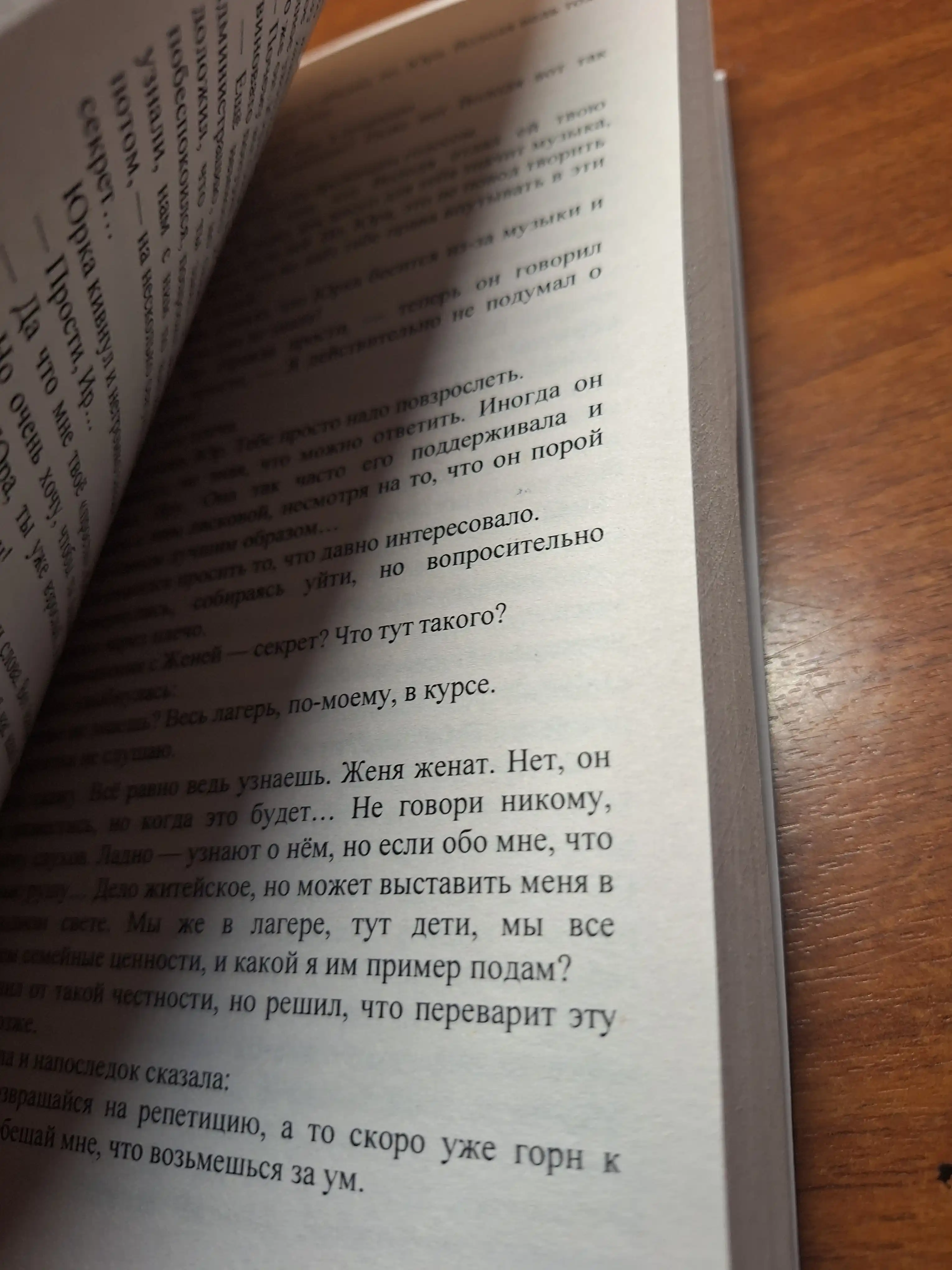 Лето в пионерском галстуке, О чем молчит ласточка