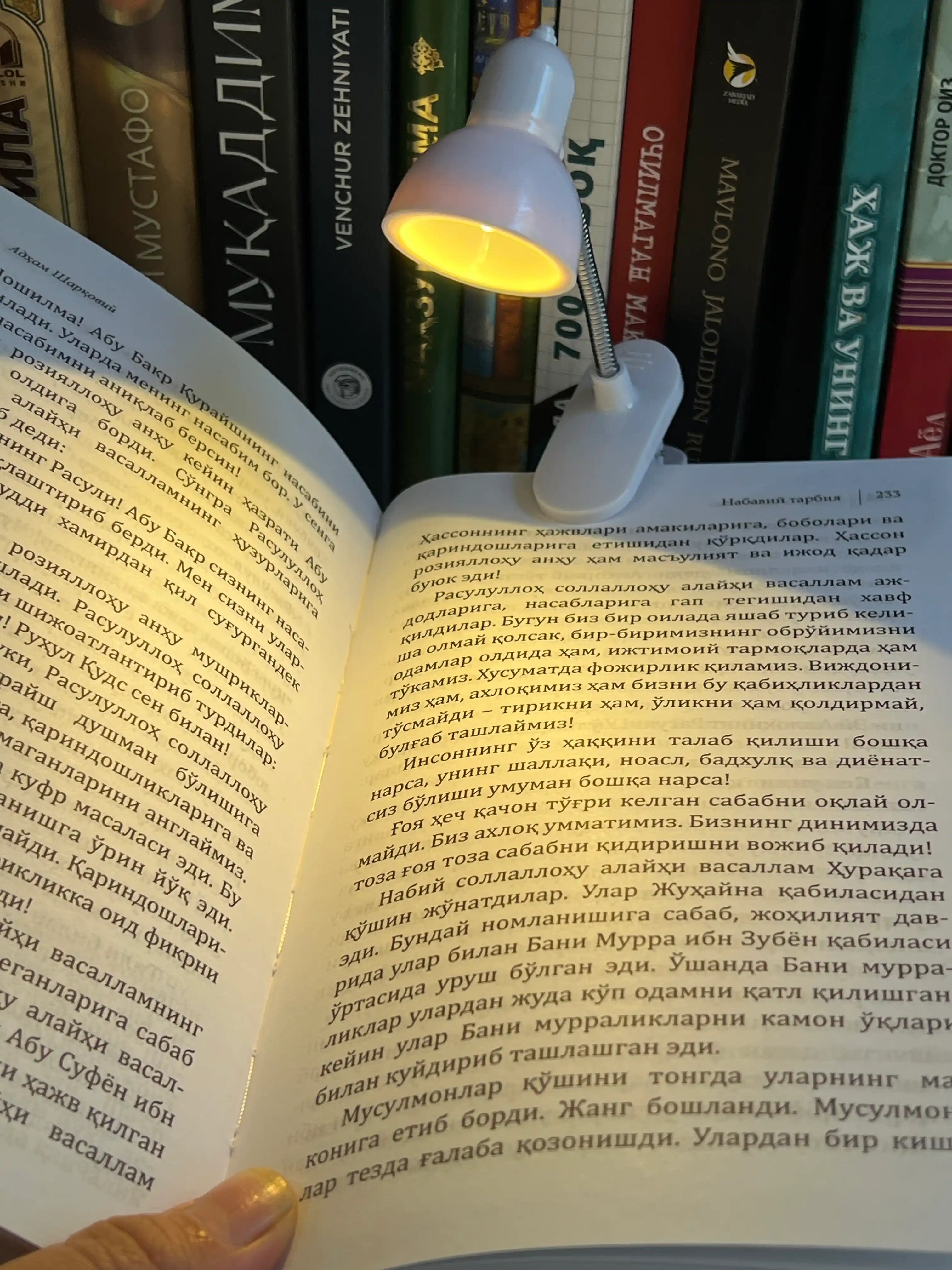 Портативная мини-лампа, светодиодный светильник с прищепкой и USB-зарядкой