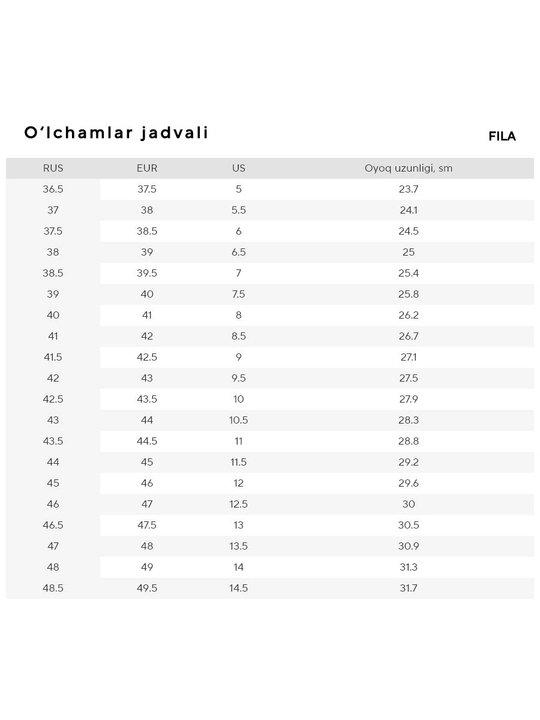 Кроссовки мужские FILA Sp Fly R
