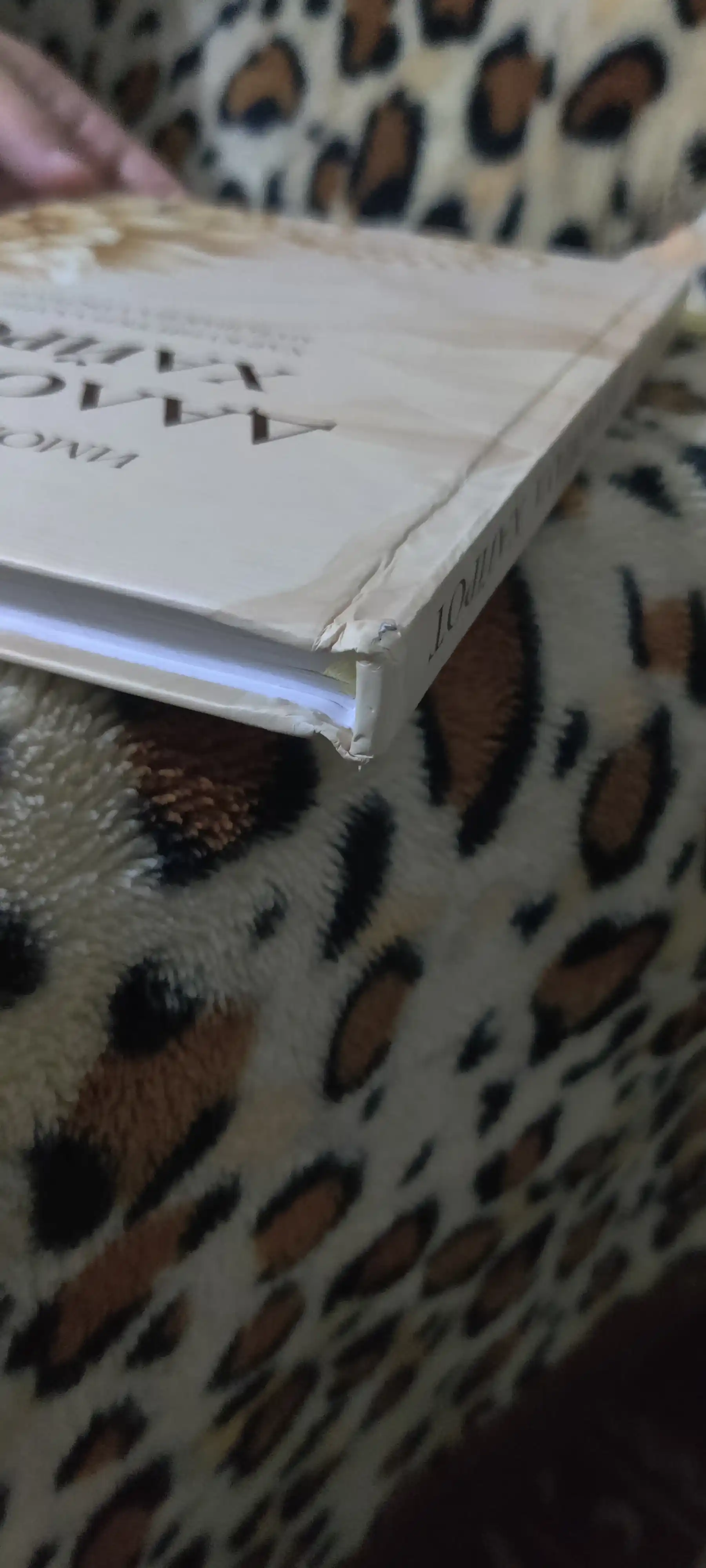 Daloilul Xayrot — Imom Jazuliy, kundalik salavot va duolar kitobi