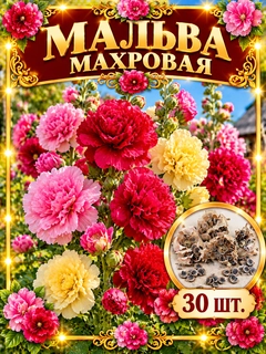 Bronza