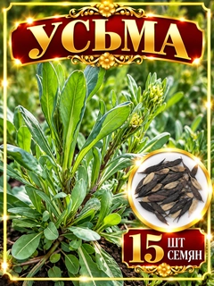 Feruza 