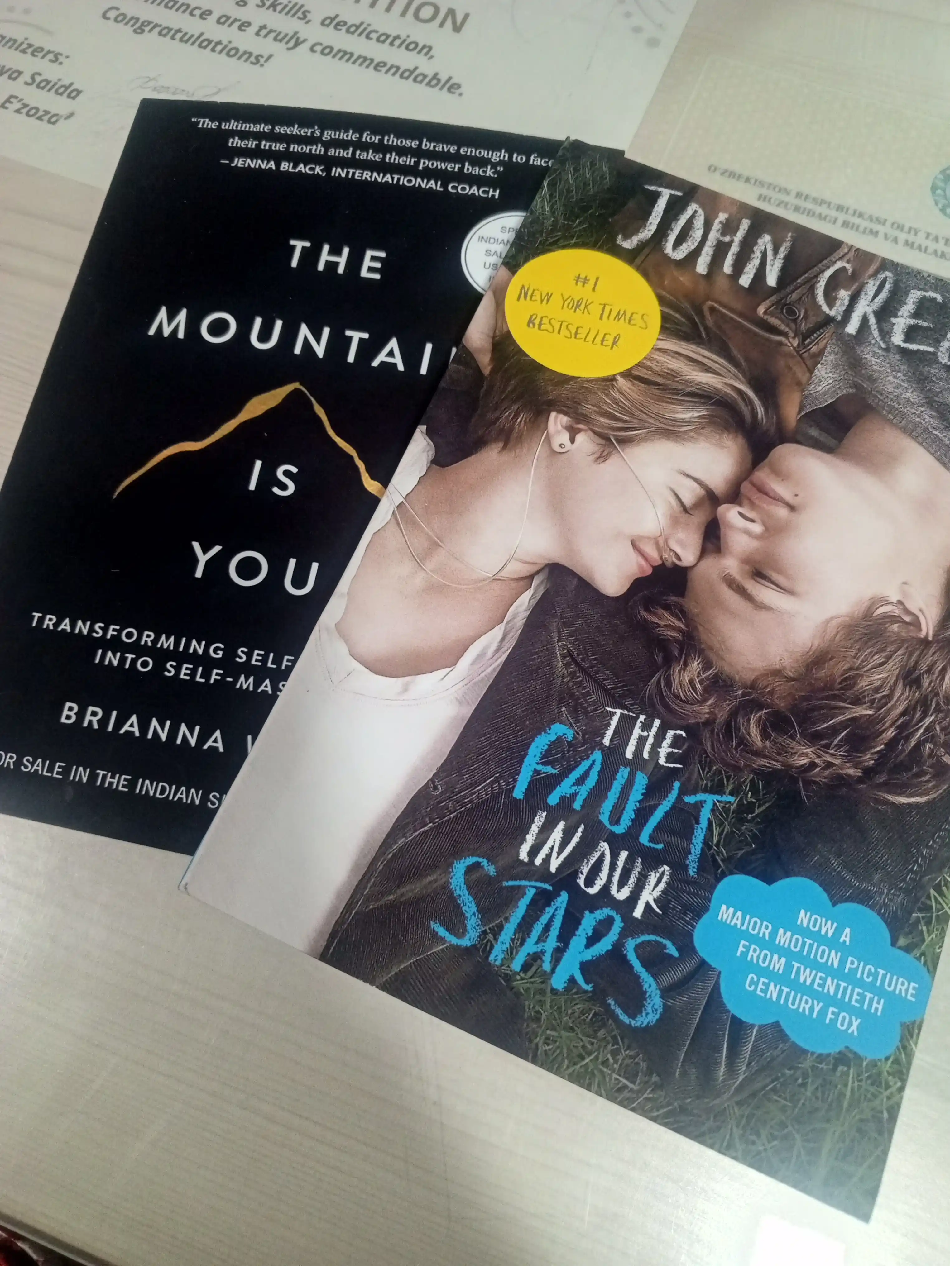 The Mountain is you - Brianna Wiest