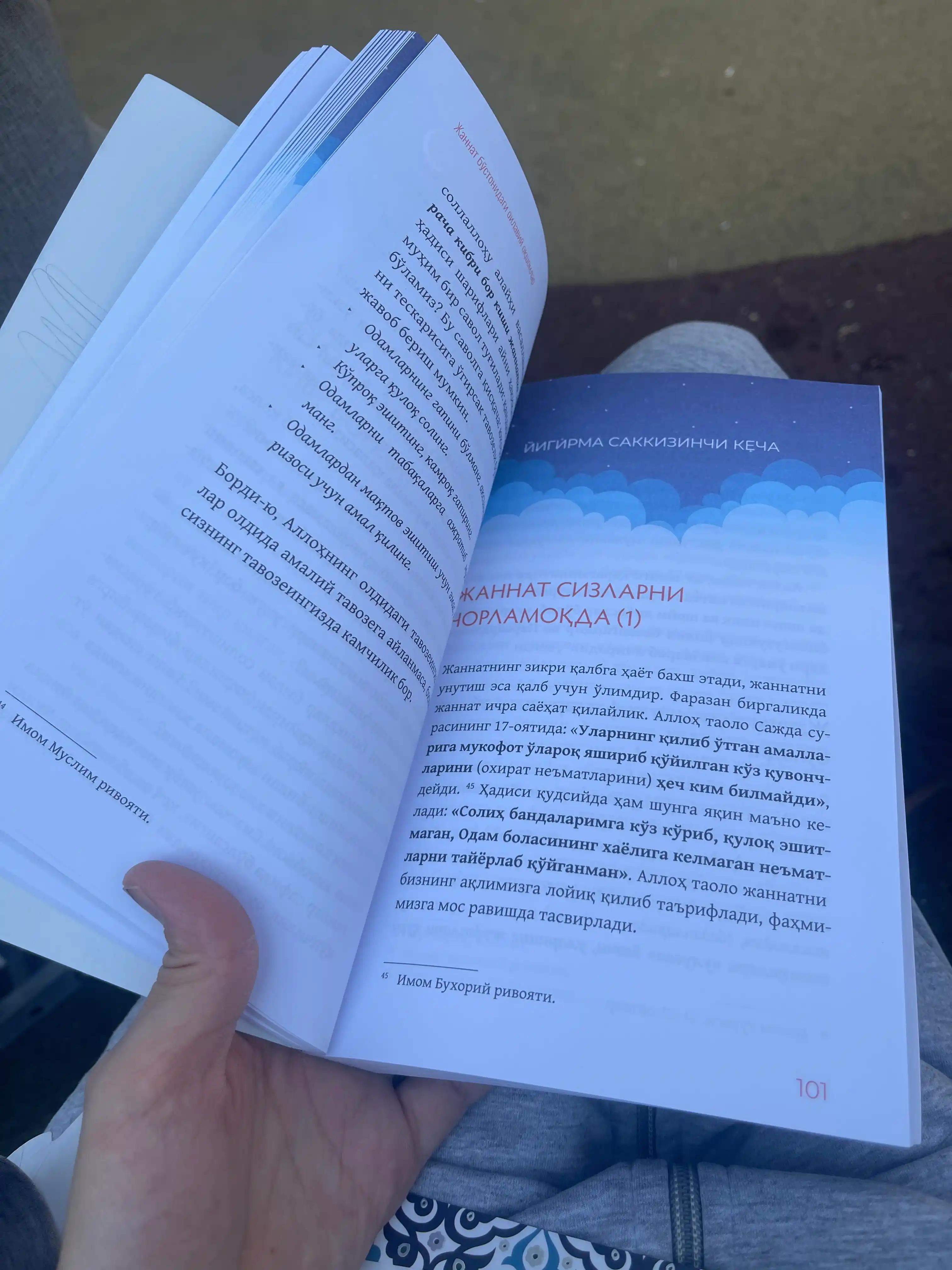 «Книга семейных вечеров в садах Рая». Автор: Хассон Шамси-паша