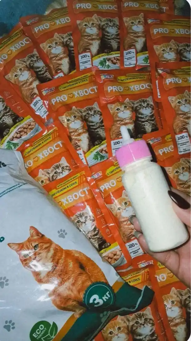 ProXвост mushukchalar uchun nam yem, sousdagi jo‘ja bilan, 85 gr 10 dona