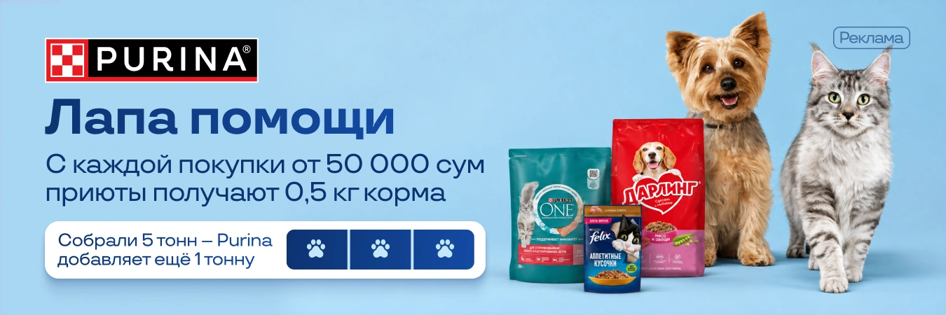 Акции, подборки товаров и новости Uzum