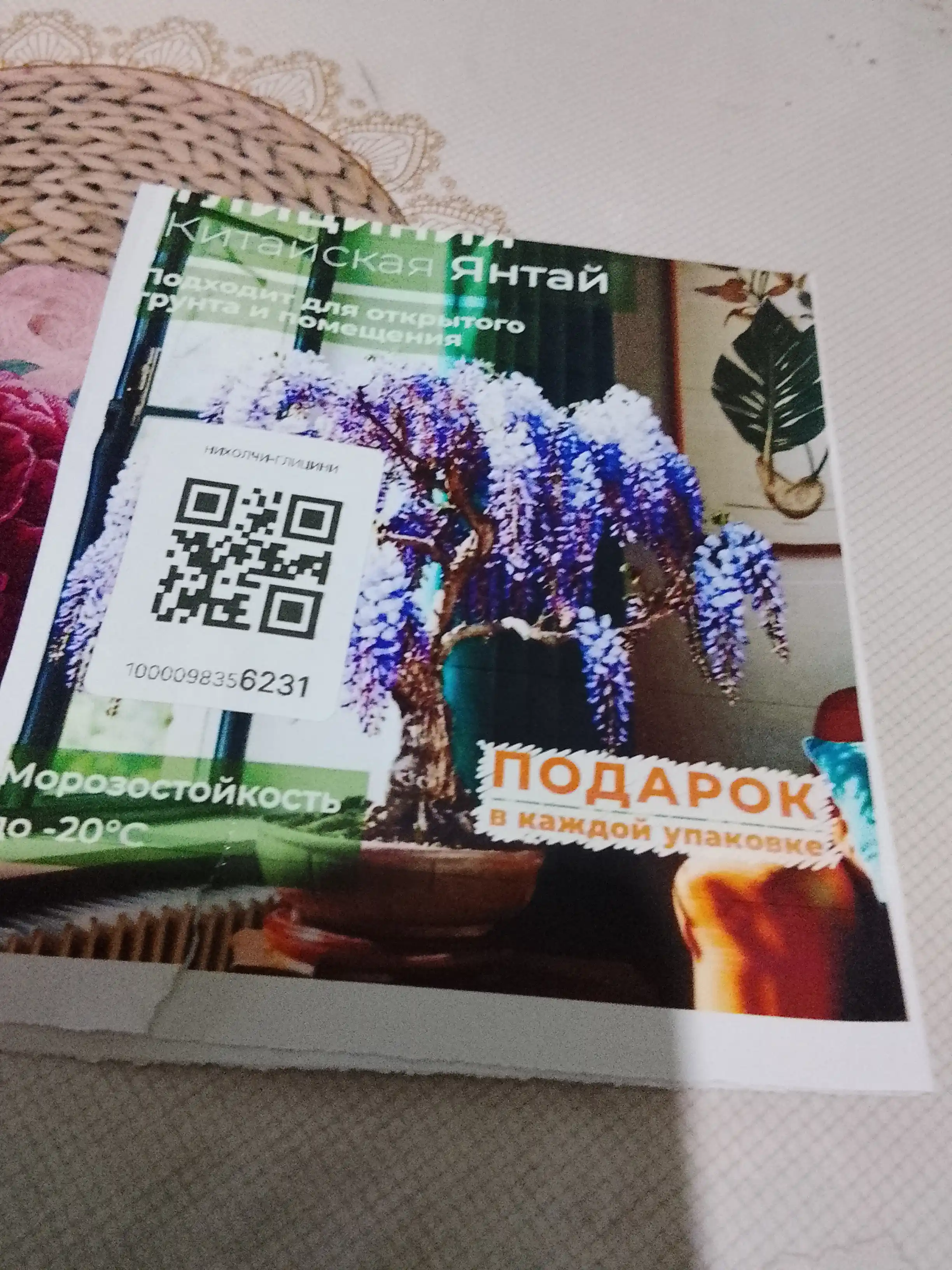 Глициния Китайская Янтай, семена, 5 шт, семена садовых цветов, декоративная лиана