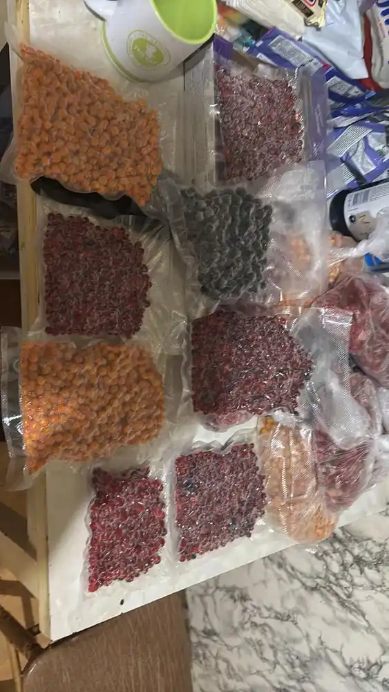Vakumator, vakum paket yopishtirgich, 50 paket, qadoqlash mashinasi, oshxona uchun